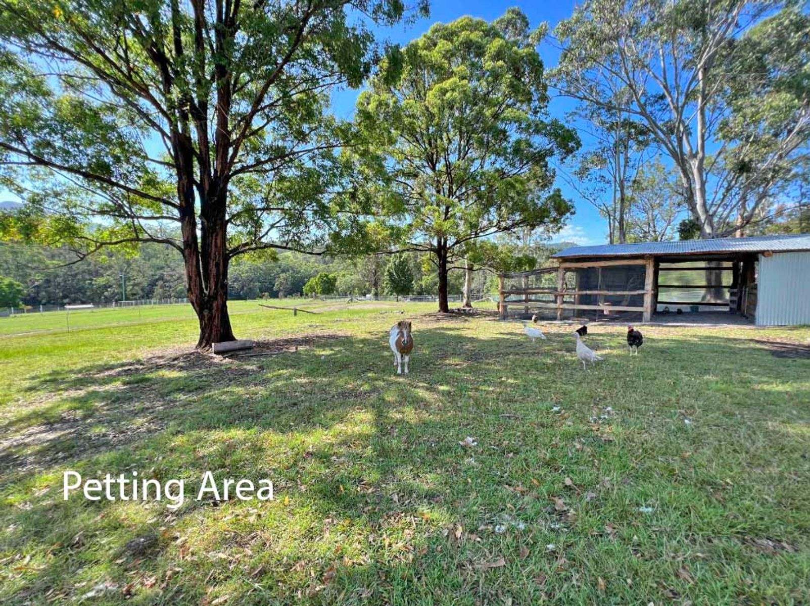 1507 Bakers Creek Road, Bundook For Sale by Farmbuy.com - image 20