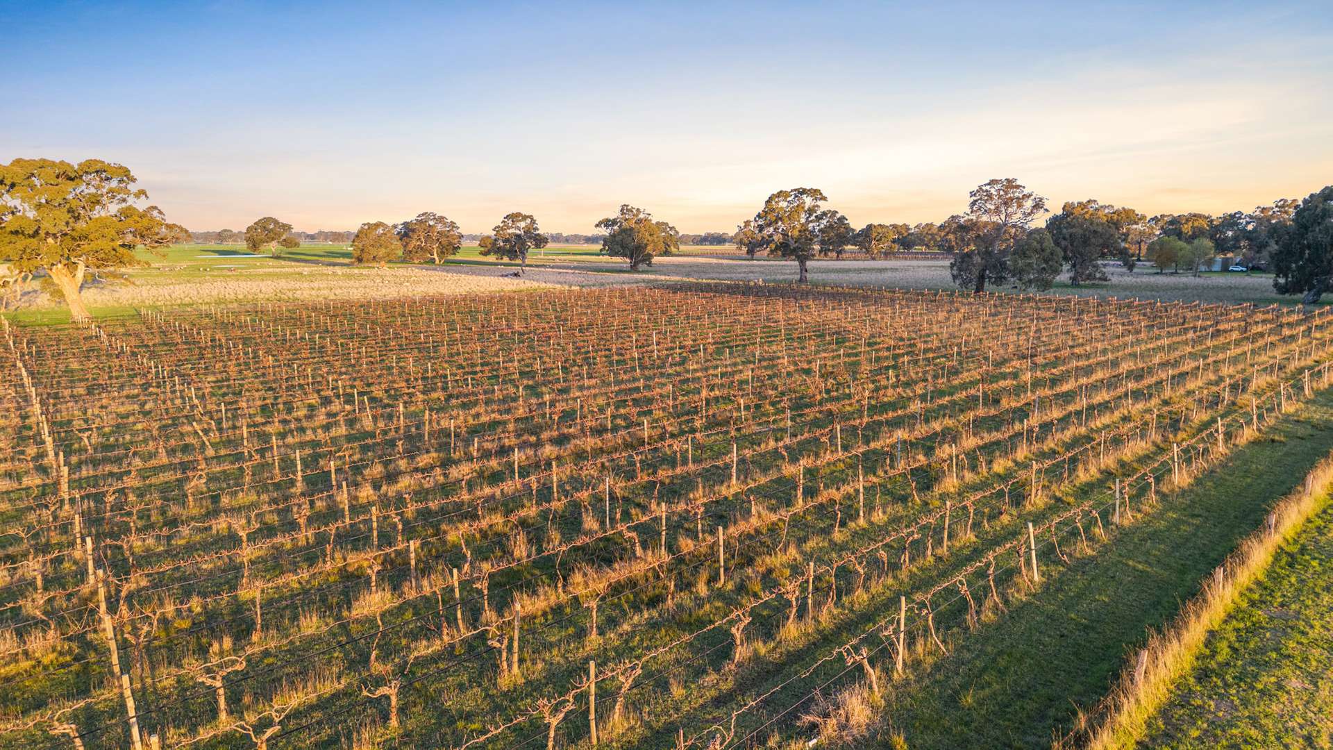101 Gaffney Road, Coonawarra For Sale by Farmbuy.com - image 27