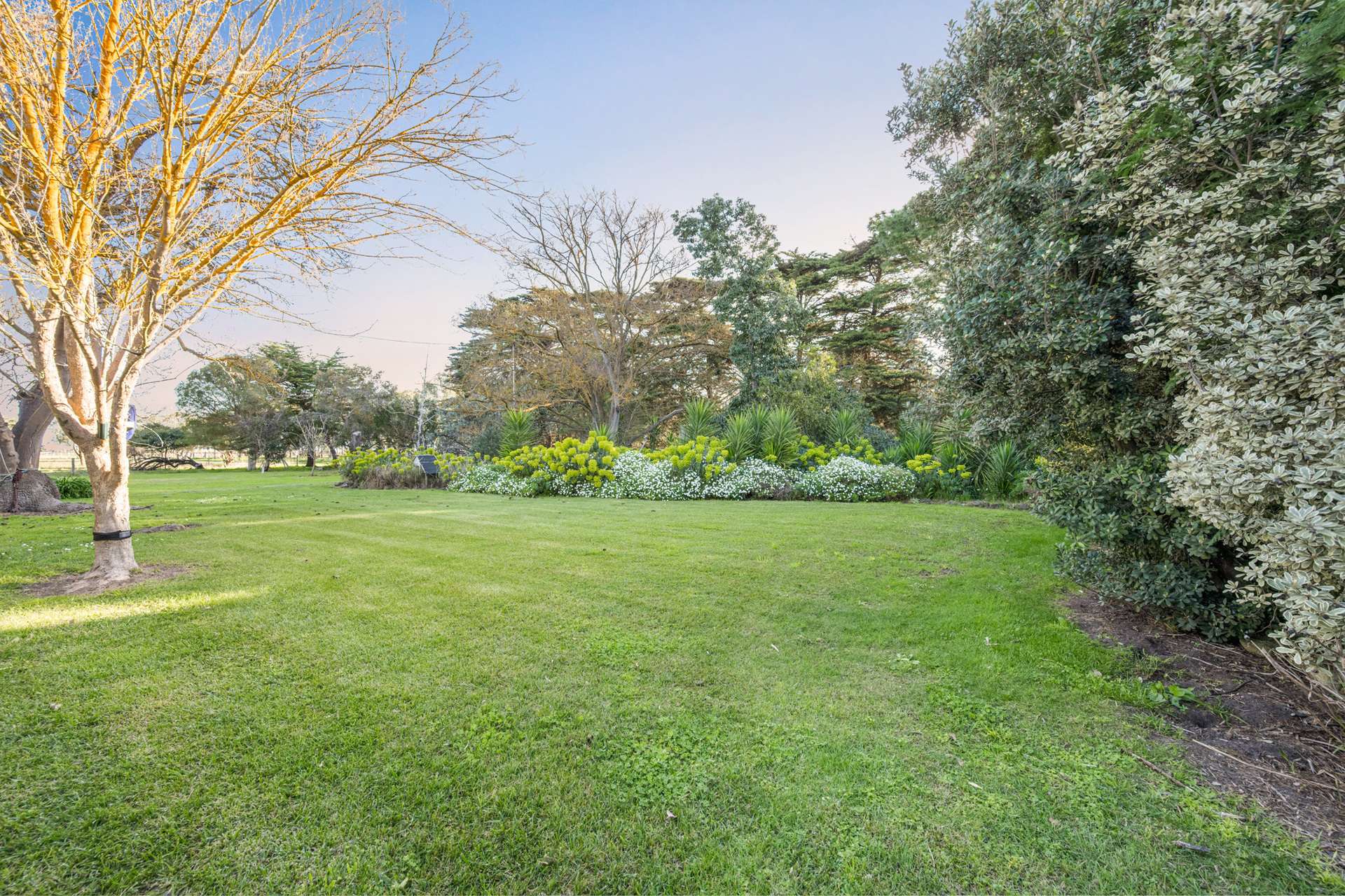 101 Gaffney Road, Coonawarra For Sale by Farmbuy.com - image 6