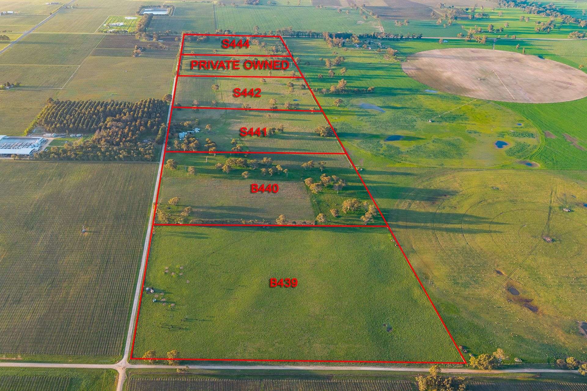 101 Gaffney Road, Coonawarra For Sale by Farmbuy.com - image 1