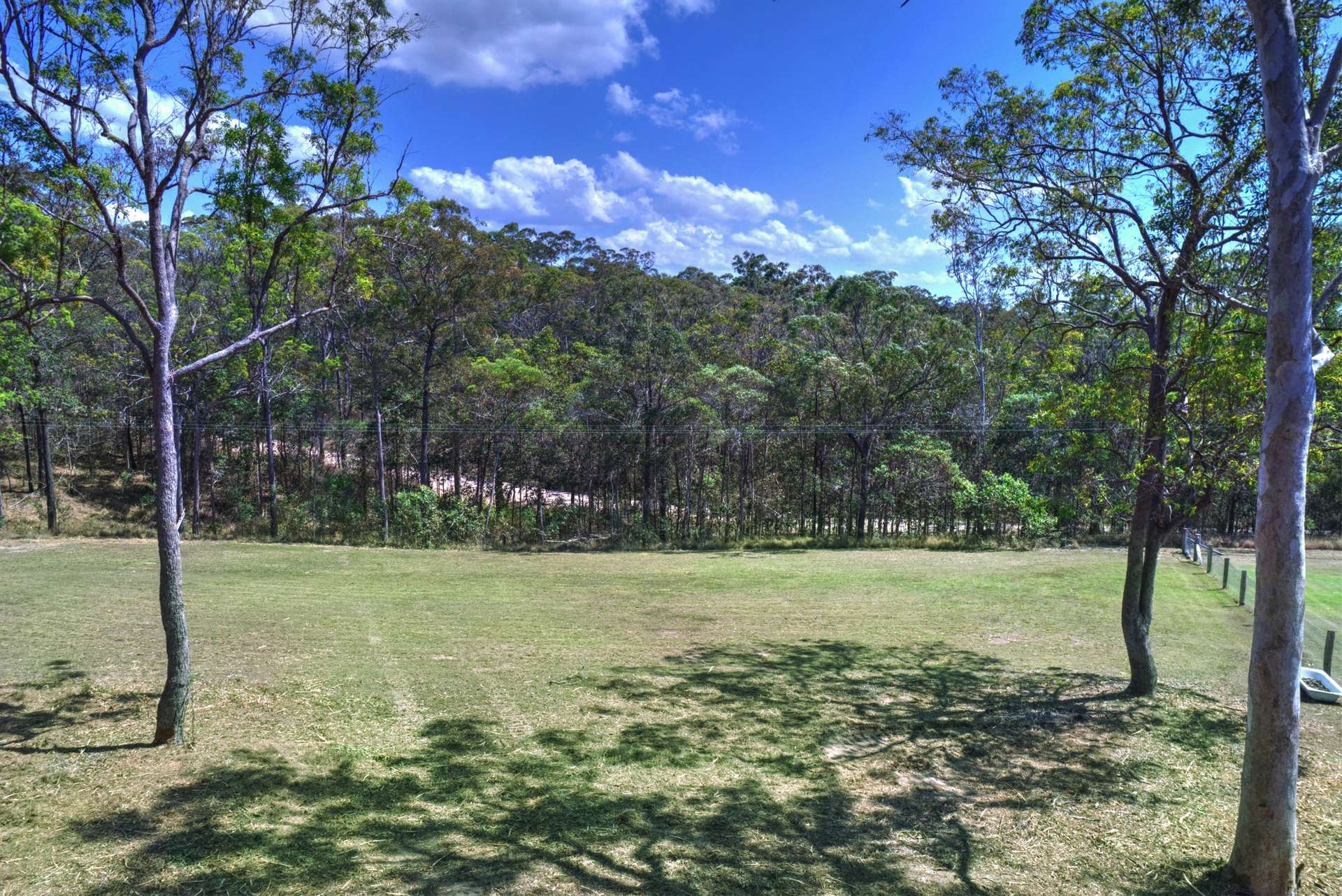 335-349 Boyle Road, Belli Park For Sale by Farmbuy.com - image 14