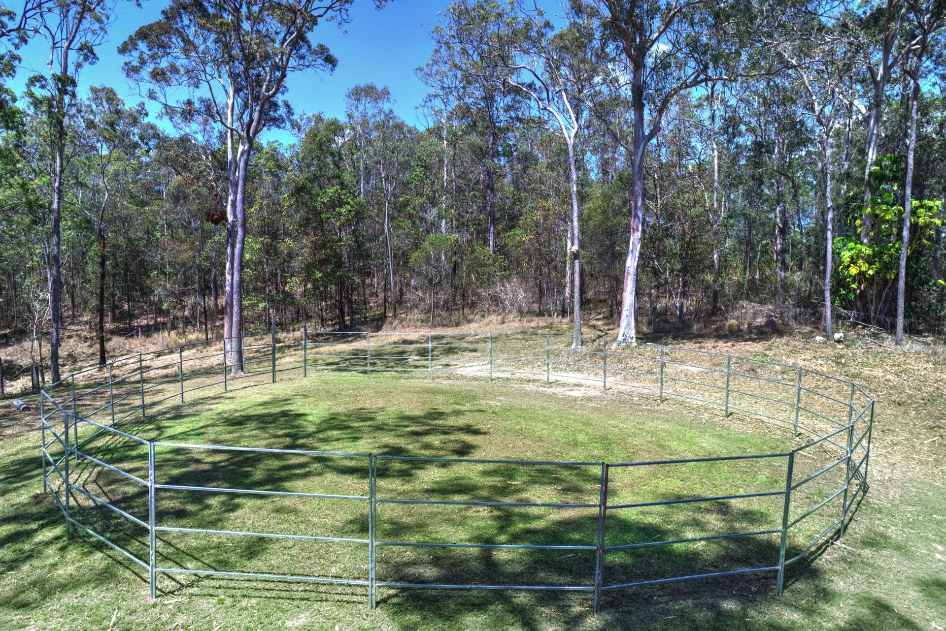 335-349 Boyle Road, Belli Park For Sale by Farmbuy.com - image 16