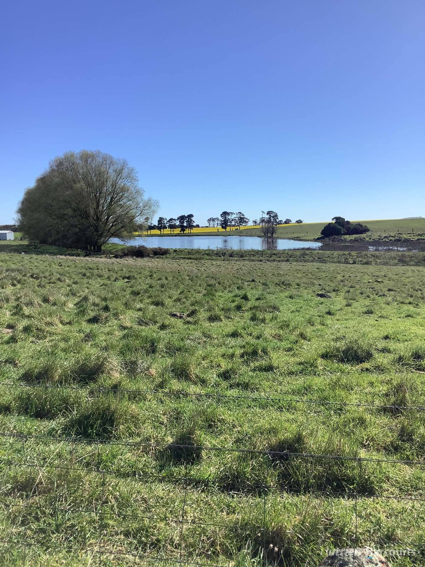 224 McKenzies Road, Clunes Tender by Farmbuy.com - image 20