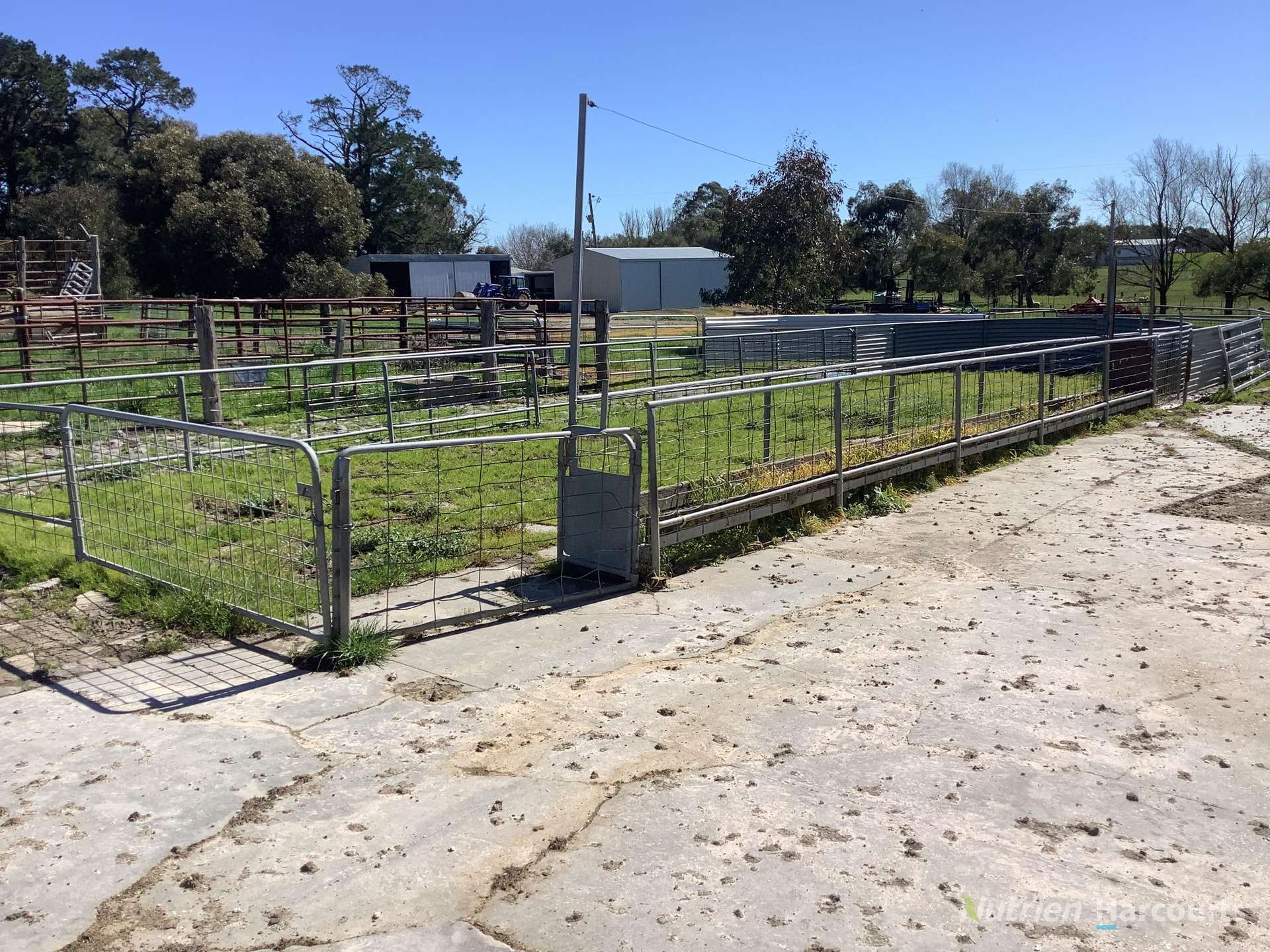 224 McKenzies Road, Clunes Tender by Farmbuy.com - image 28
