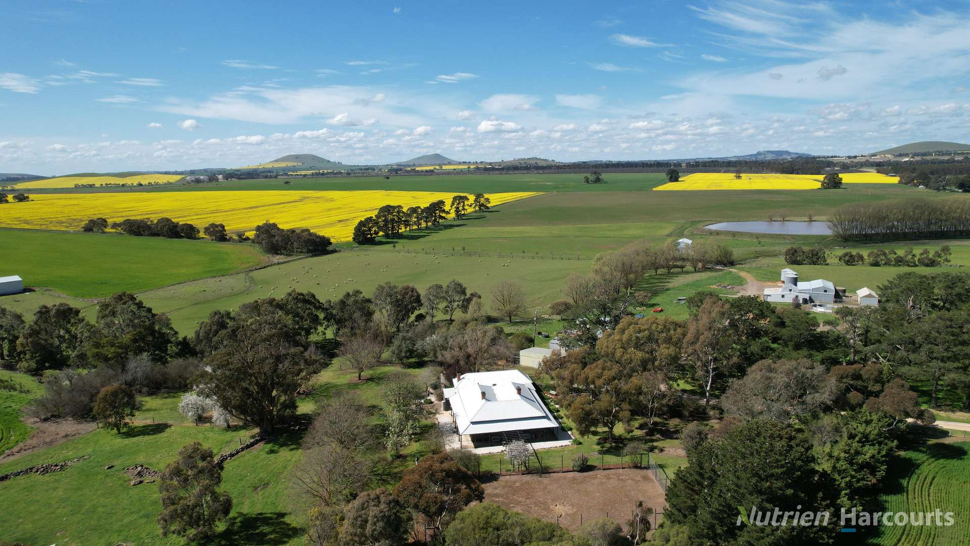224 McKenzies Road, Clunes Tender by Farmbuy.com - image 2