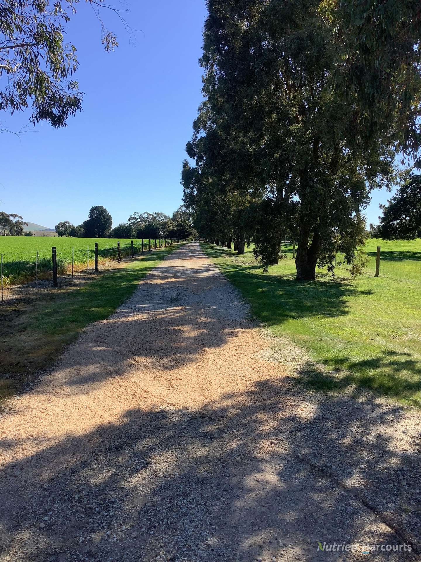 224 McKenzies Road, Clunes Tender by Farmbuy.com - image 22