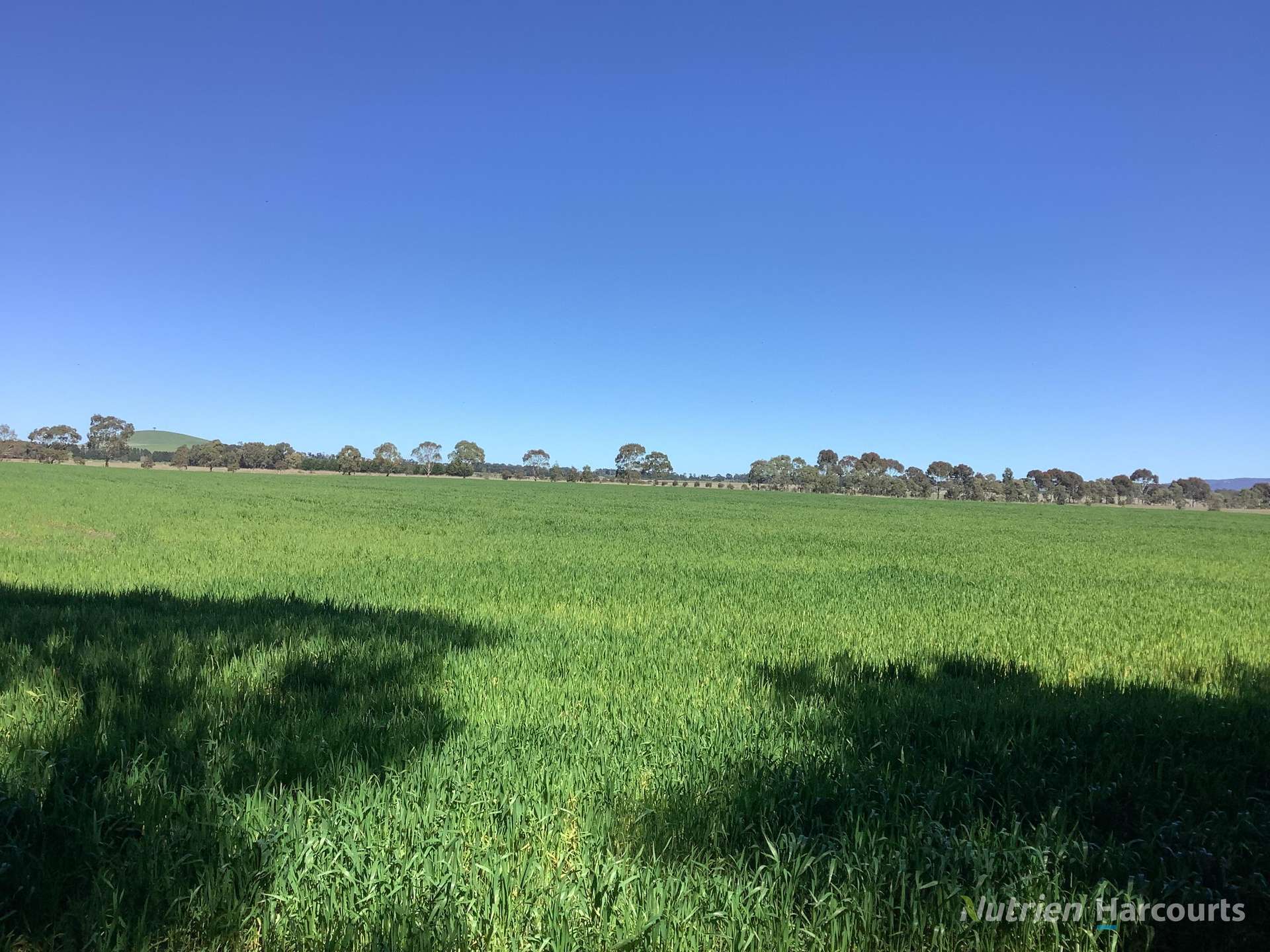 224 McKenzies Road, Clunes Tender by Farmbuy.com - image 26