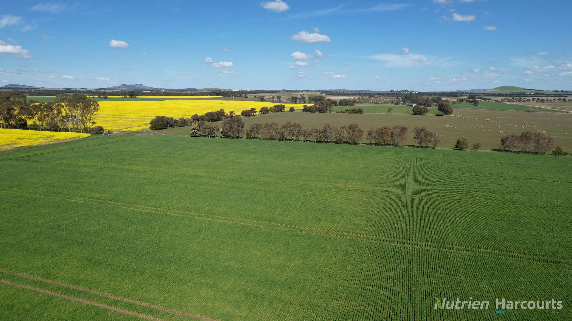 224 McKenzies Road, Clunes Tender by Farmbuy.com - image 6