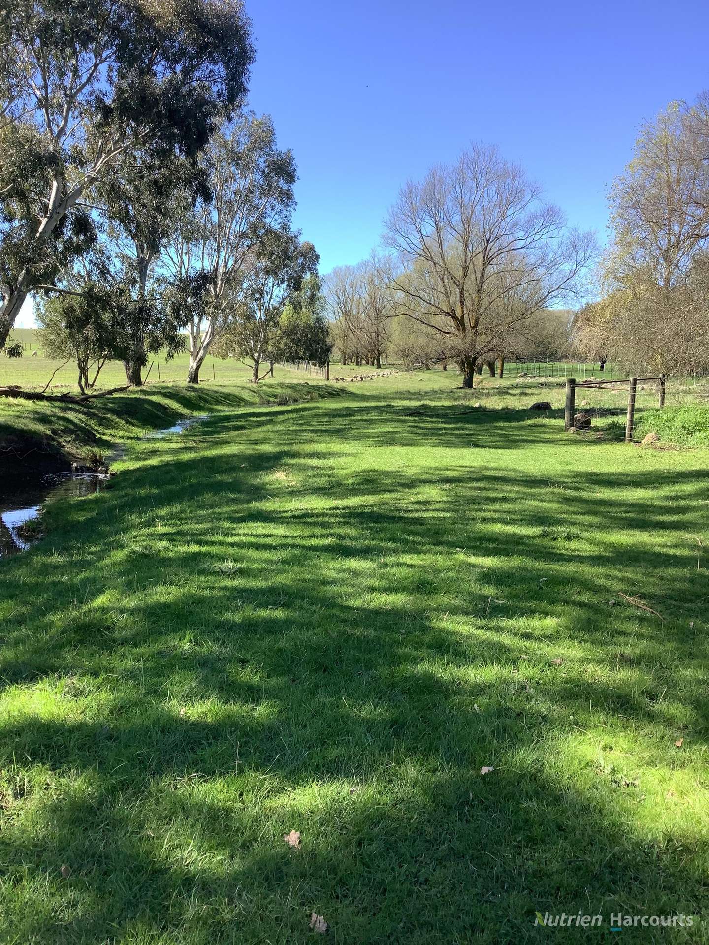 224 McKenzies Road, Clunes Tender by Farmbuy.com - image 23