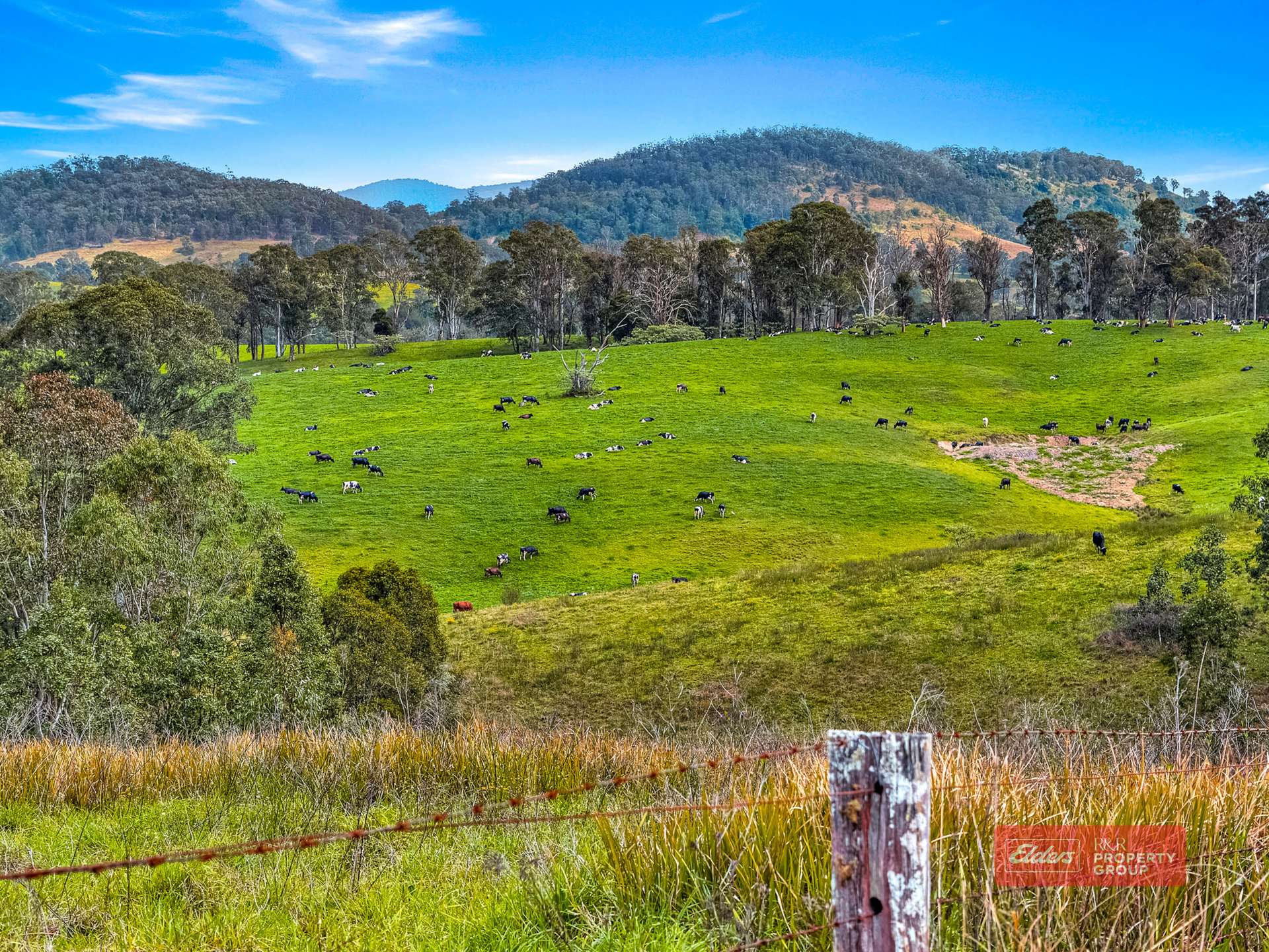 560 Bowman Farm Road, Bowman Farm Via, Gloucester For Sale by Farmbuy.com - image 17