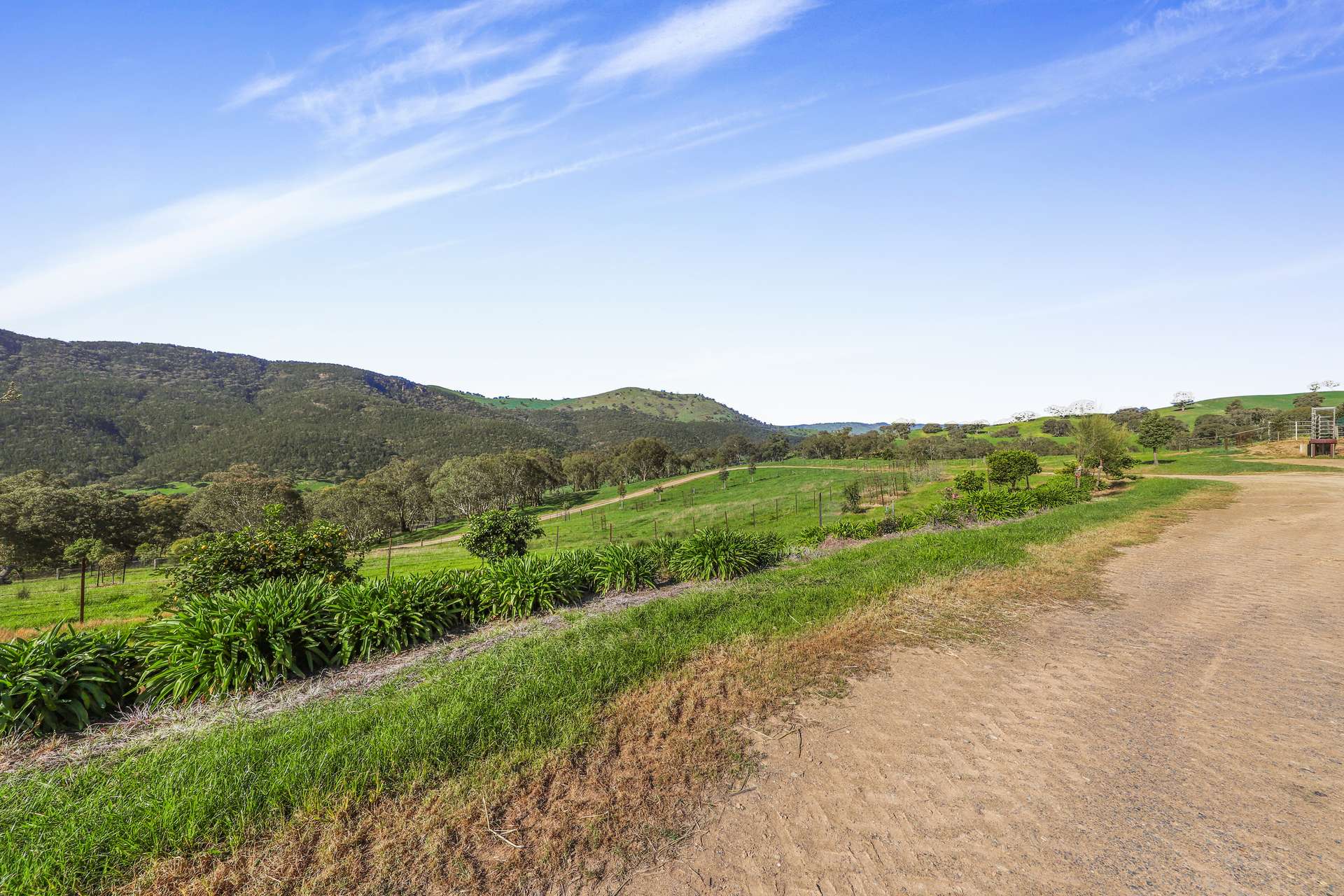 Lot 6 & 7 Brungle Road, Tumut For Sale by Farmbuy.com - image 6