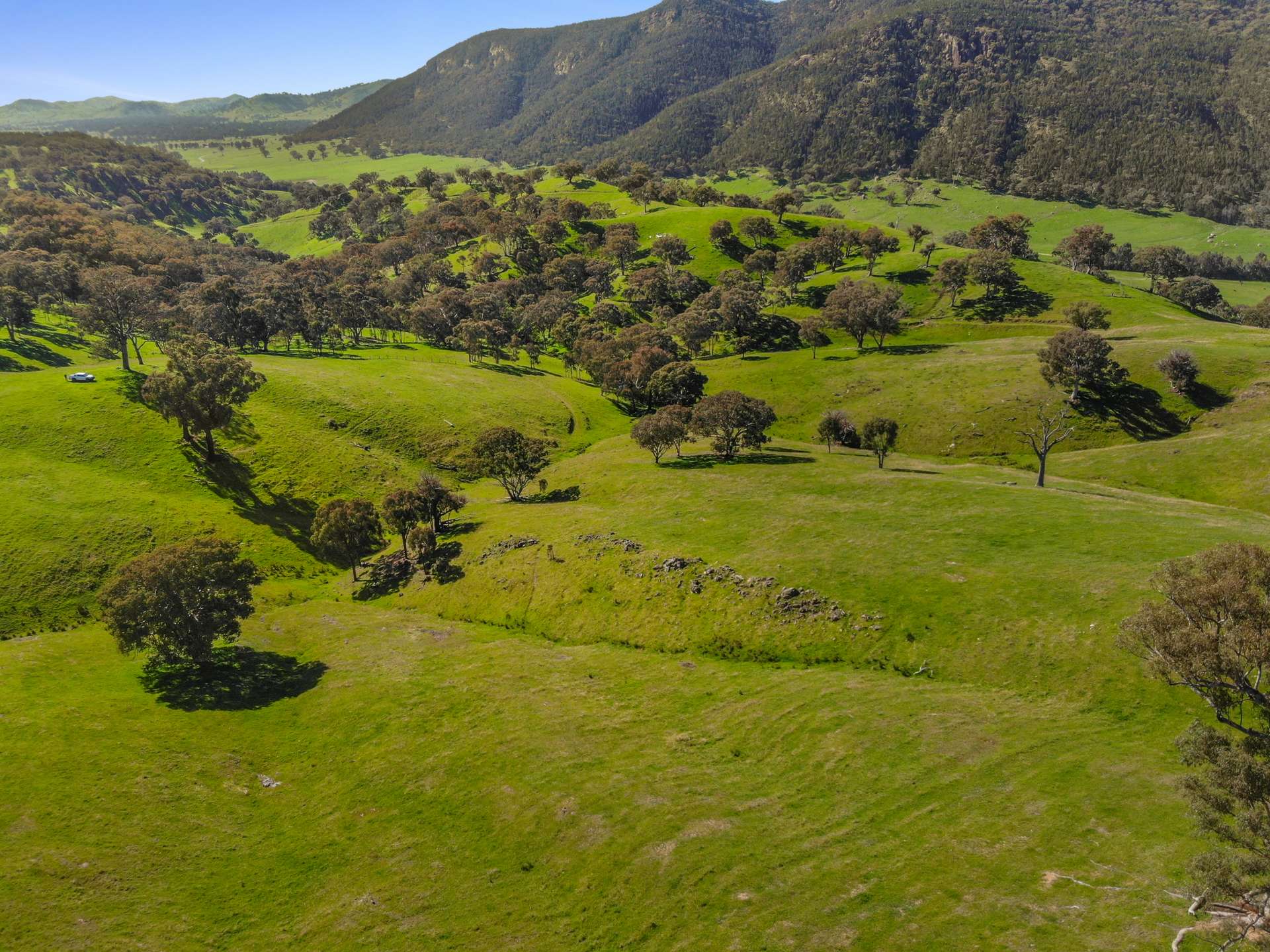 Lot 6 & 7 Brungle Road, Tumut For Sale by Farmbuy.com - image 9