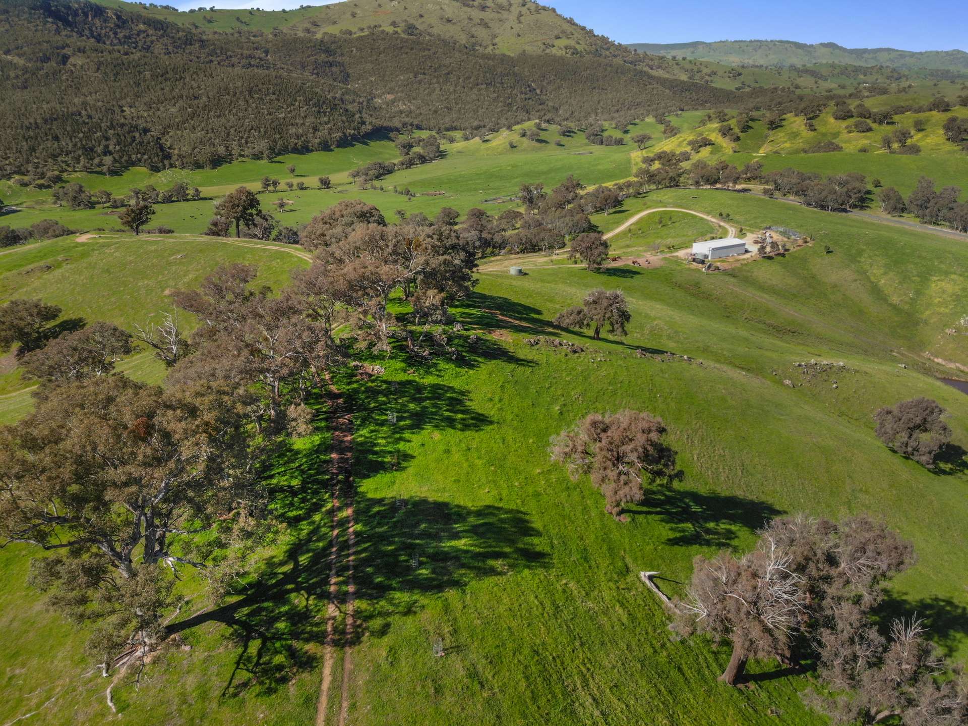 Lot 6 & 7 Brungle Road, Tumut For Sale by Farmbuy.com - image 7