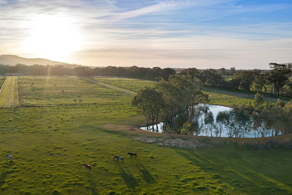 Lot 1/2 Millards Lane, Euroa For Sale by Farmbuy.com - image 6