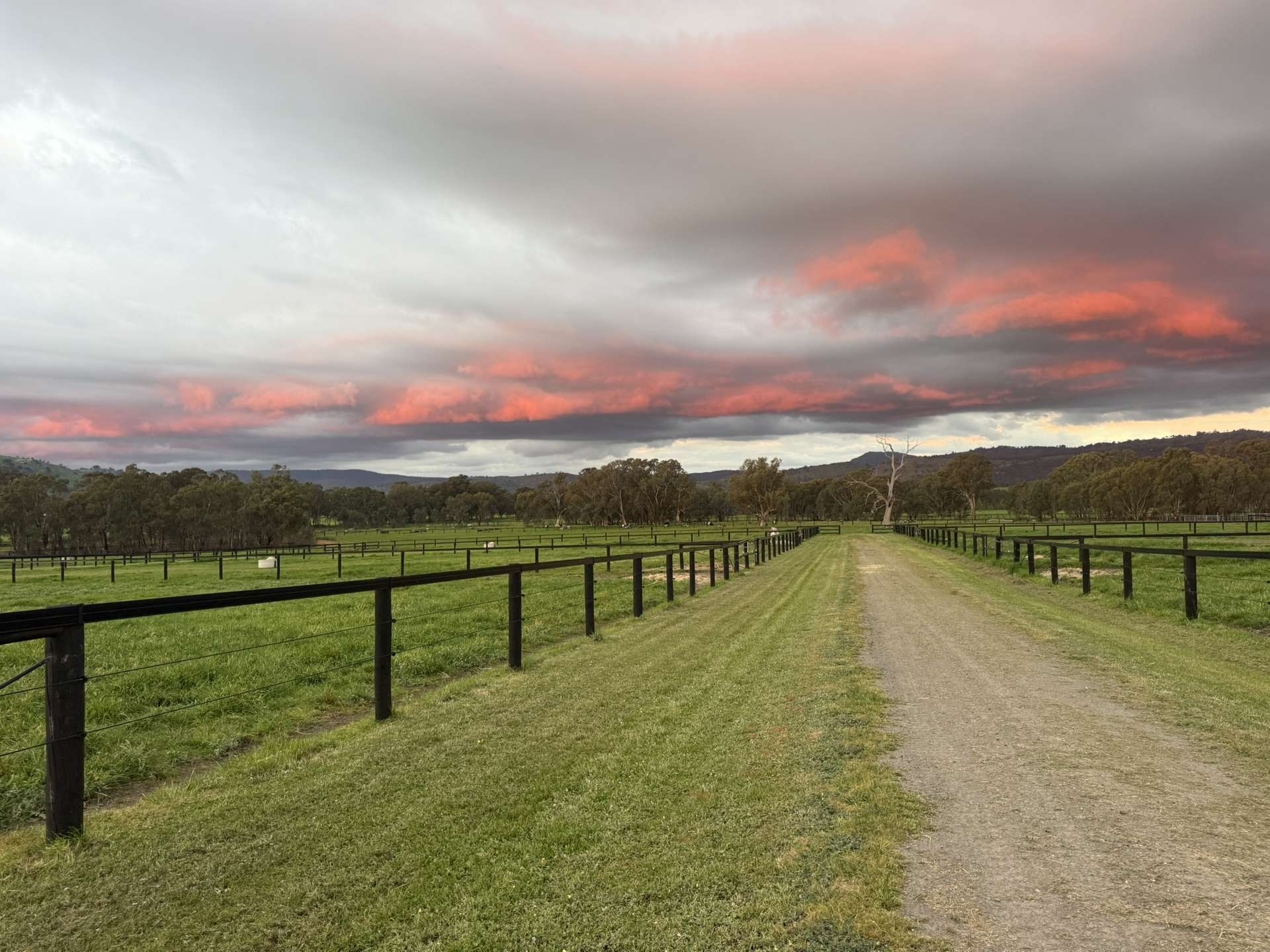 Lot 1/2 Millards Lane, Euroa For Sale by Farmbuy.com - image 15