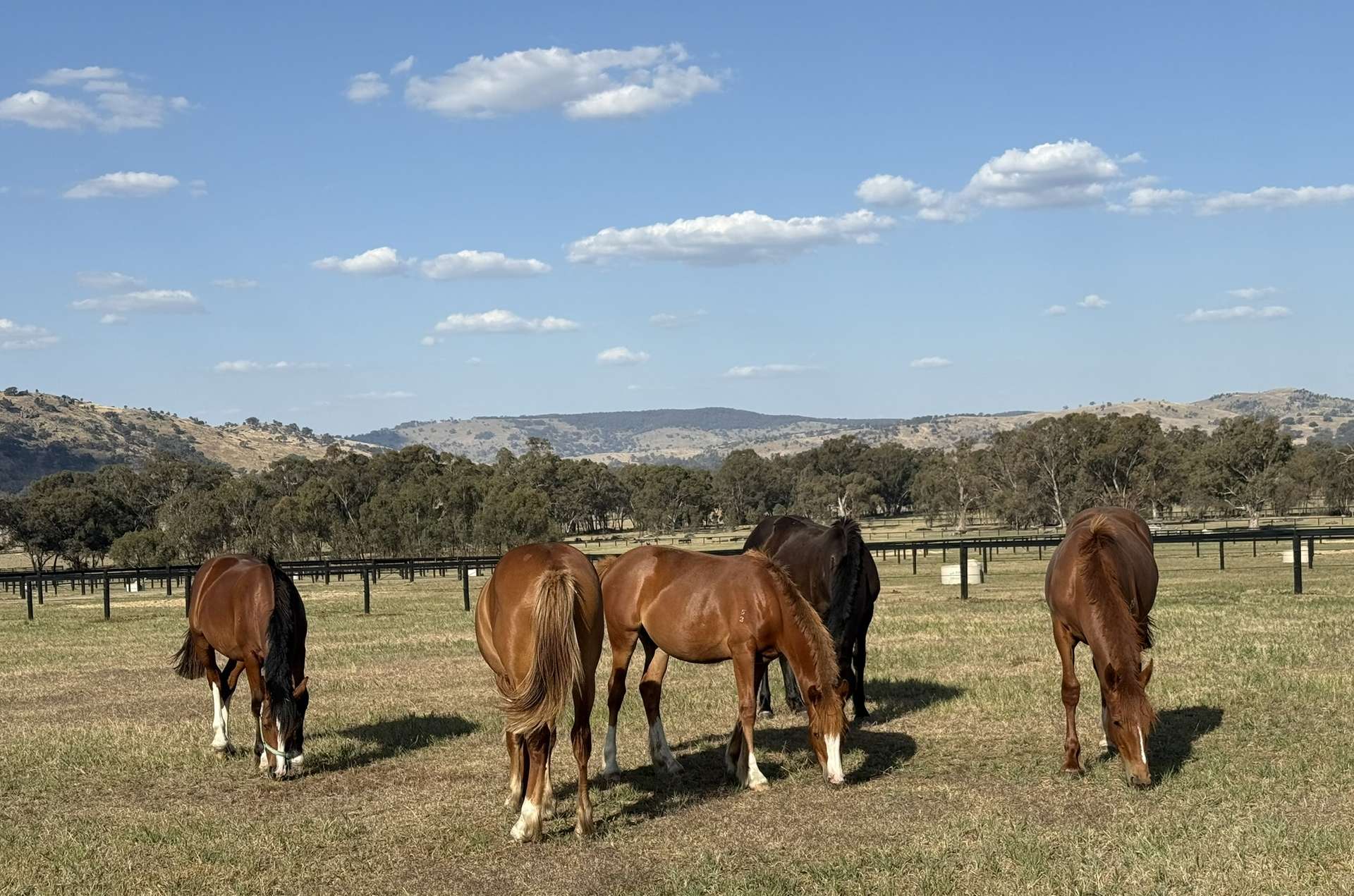 1/2 Millards Lane, Euroa For Sale by Farmbuy.com - image 24