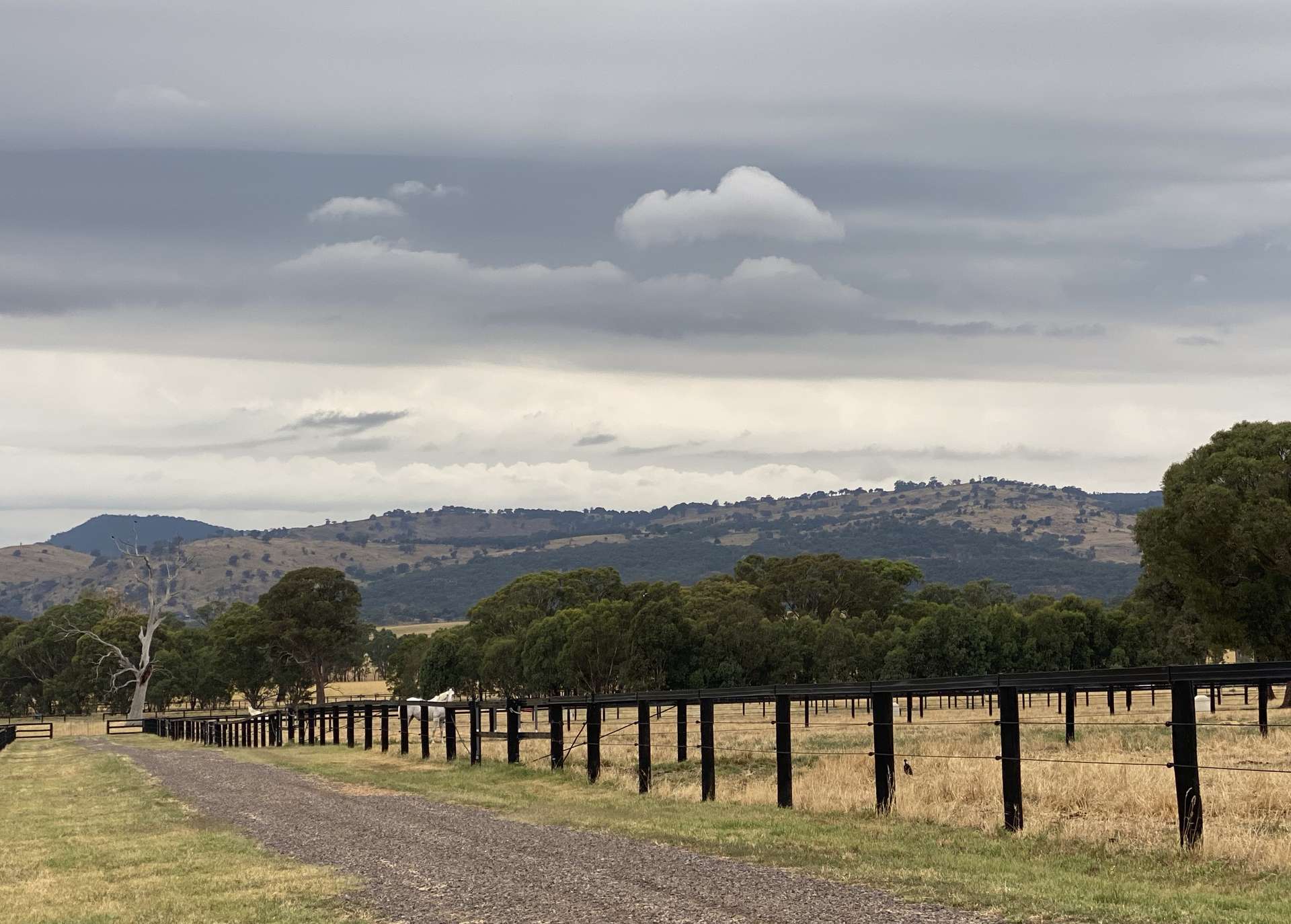 Lot 1/2 Millards Lane, Euroa For Sale by Farmbuy.com - image 18