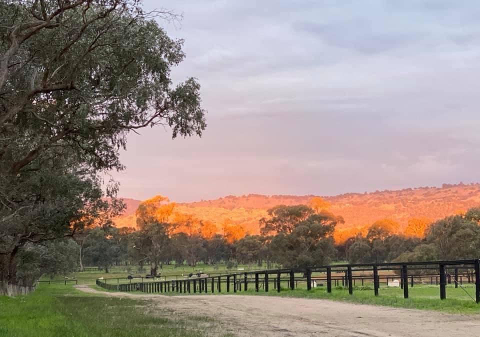 Lot 1/2 Millards Lane, Euroa For Sale by Farmbuy.com - image 10
