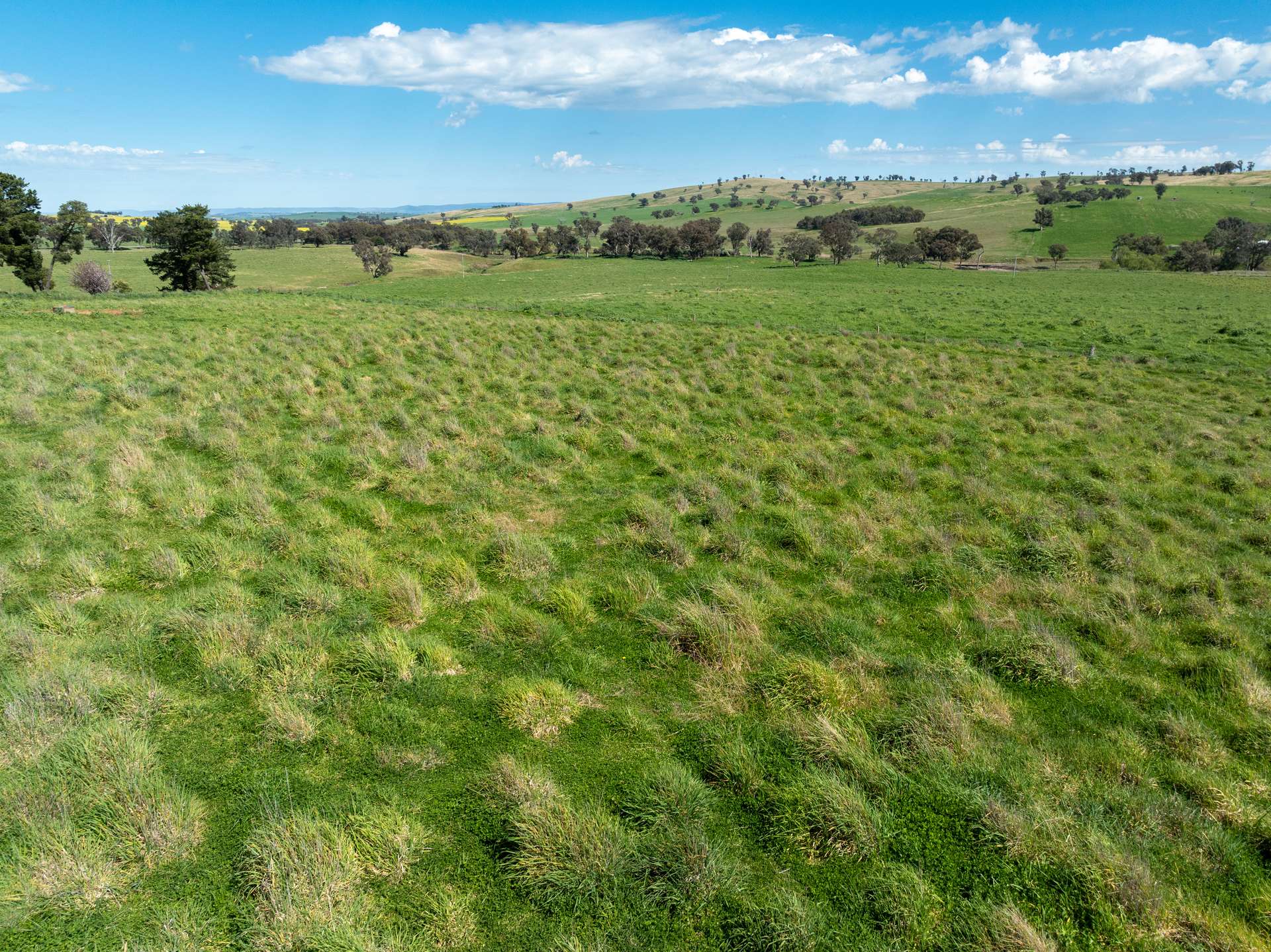 'Burley' 8394 Mid Western Highway, Woodstock Auction by Farmbuy.com - image 16