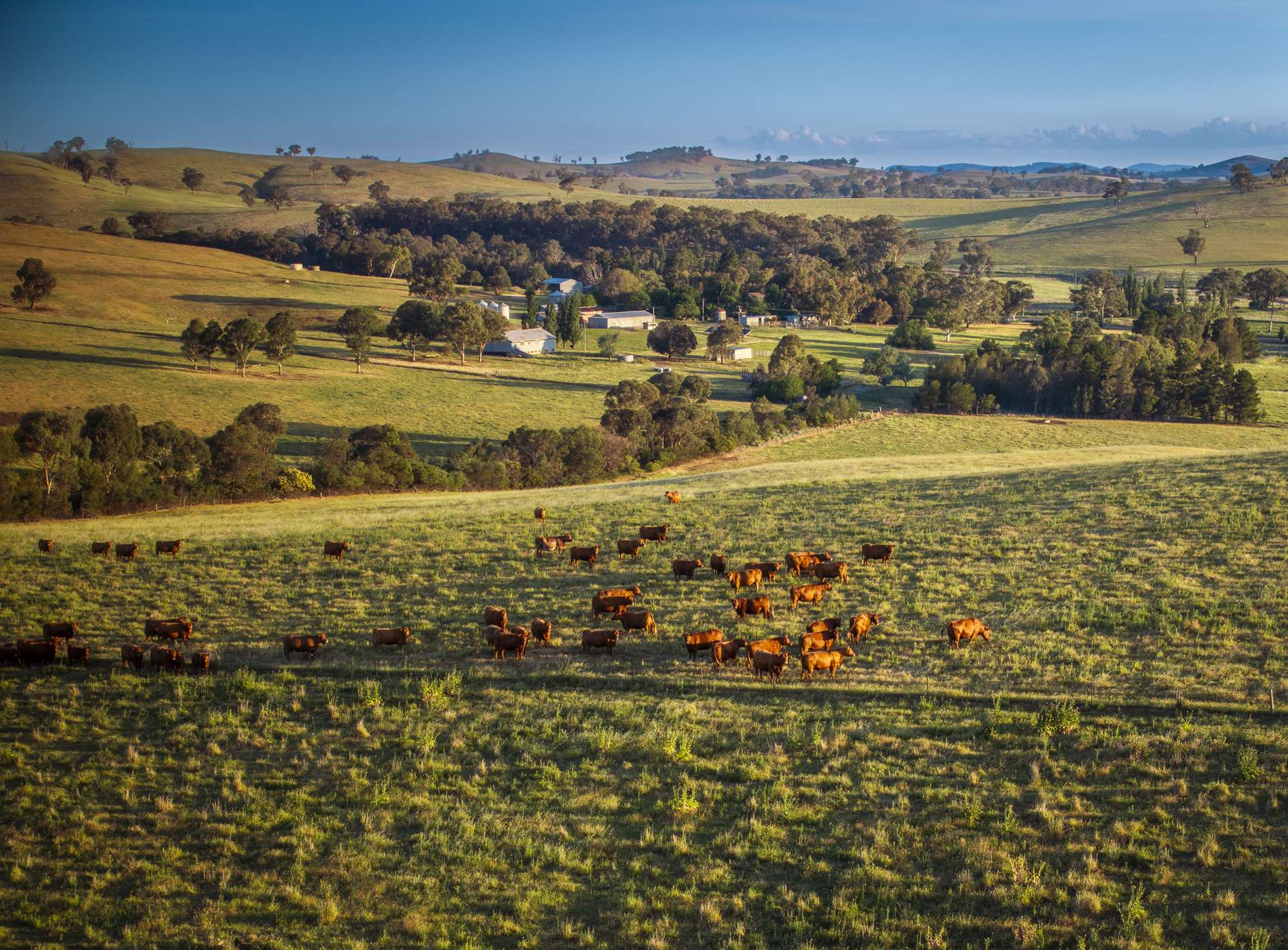 'Burley' 8394 Mid Western Highway, Woodstock Auction by Farmbuy.com - image 3