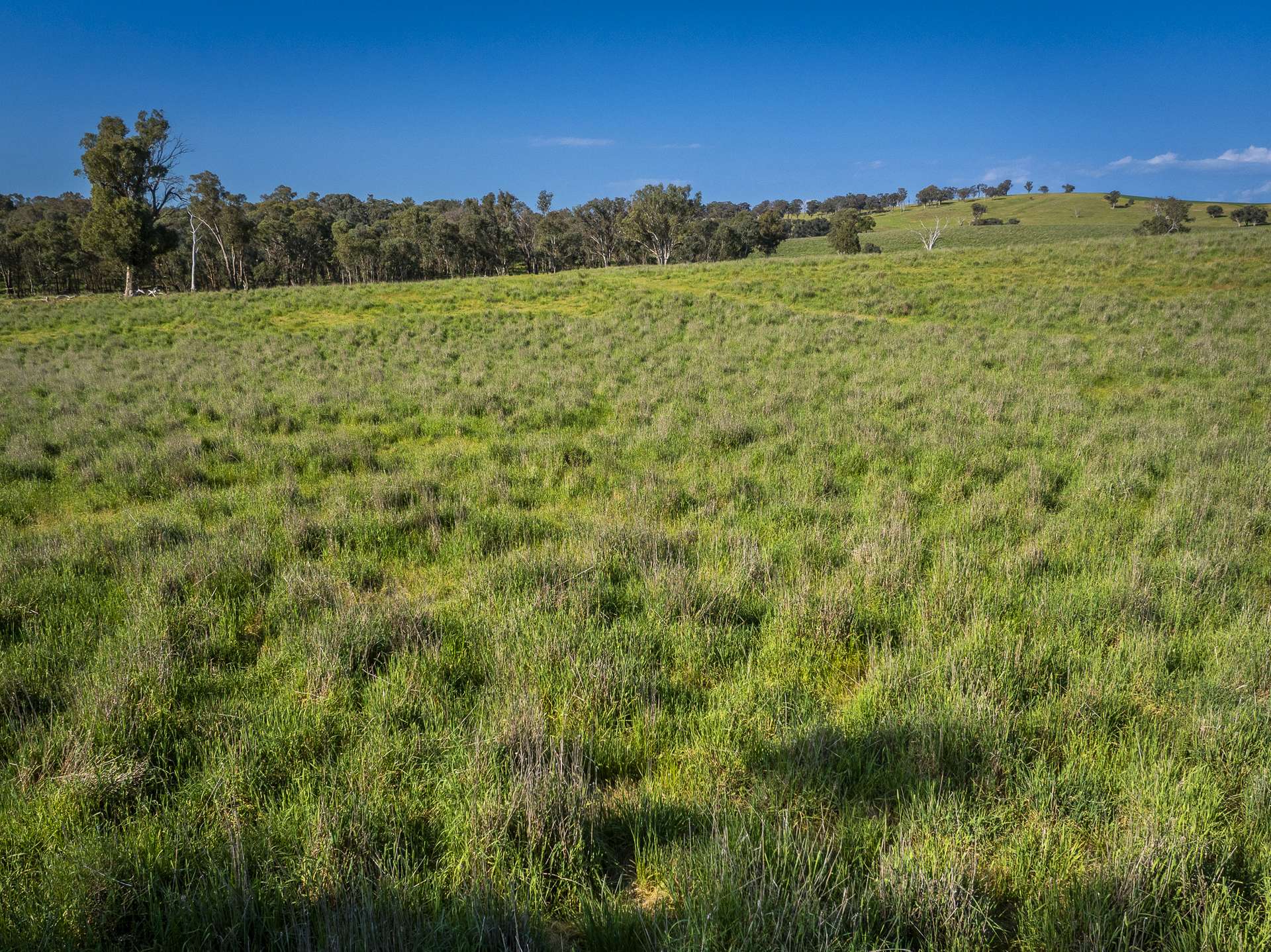'Burley' 8394 Mid Western Highway, Woodstock Auction by Farmbuy.com - image 30