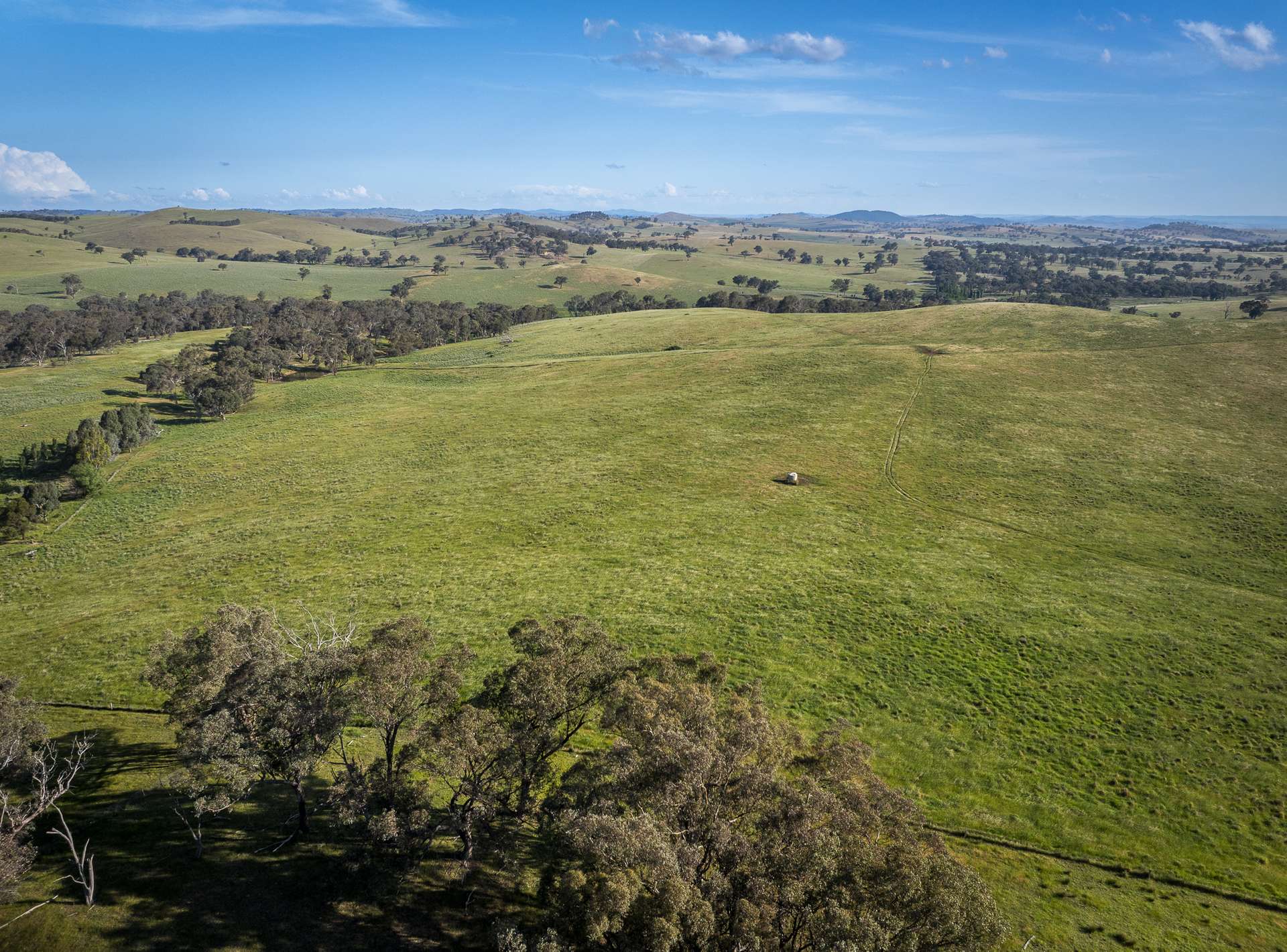 'Burley' 8394 Mid Western Highway, Woodstock Auction by Farmbuy.com - image 31