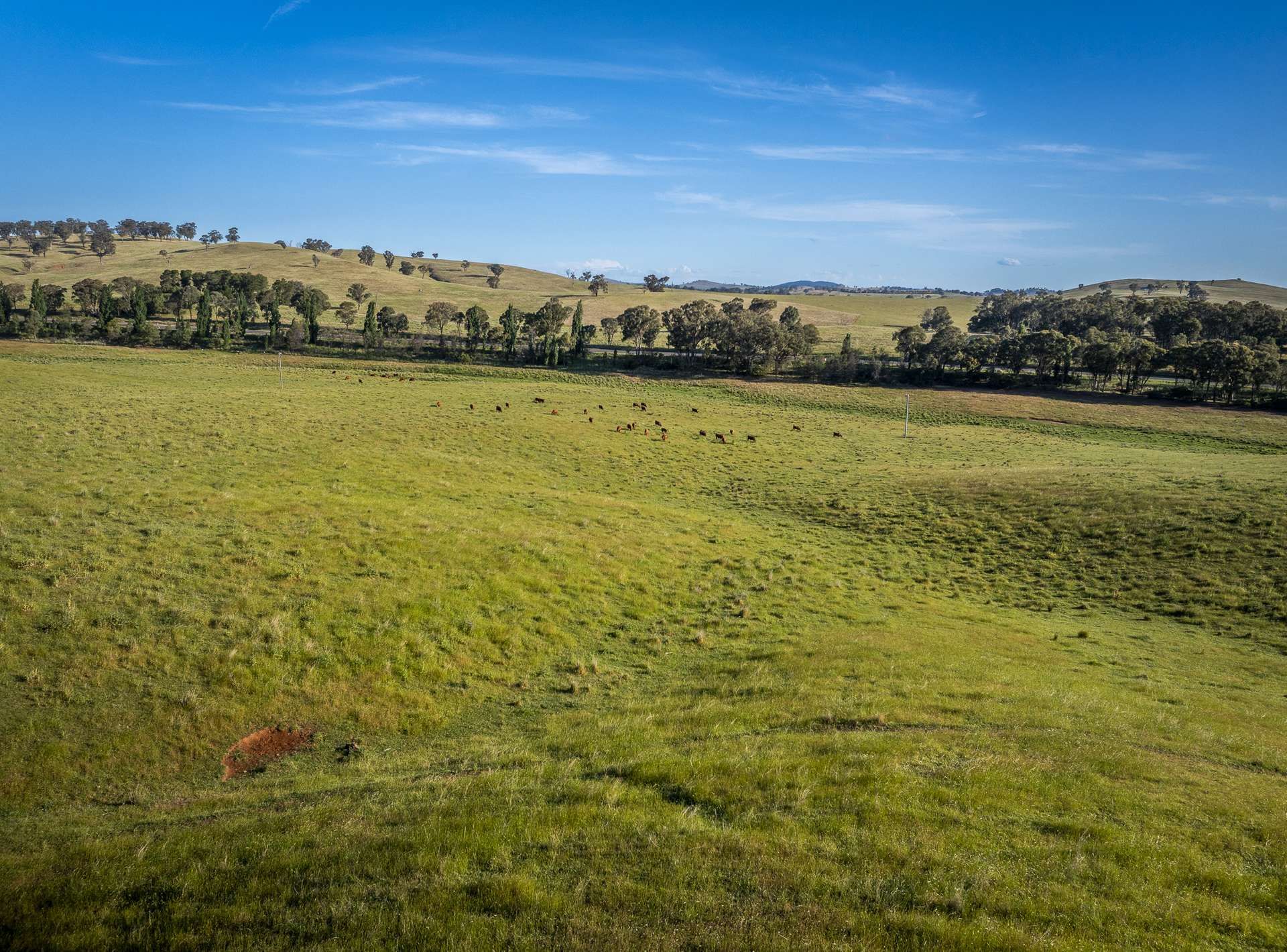 'Burley' 8394 Mid Western Highway, Woodstock Auction by Farmbuy.com - image 35