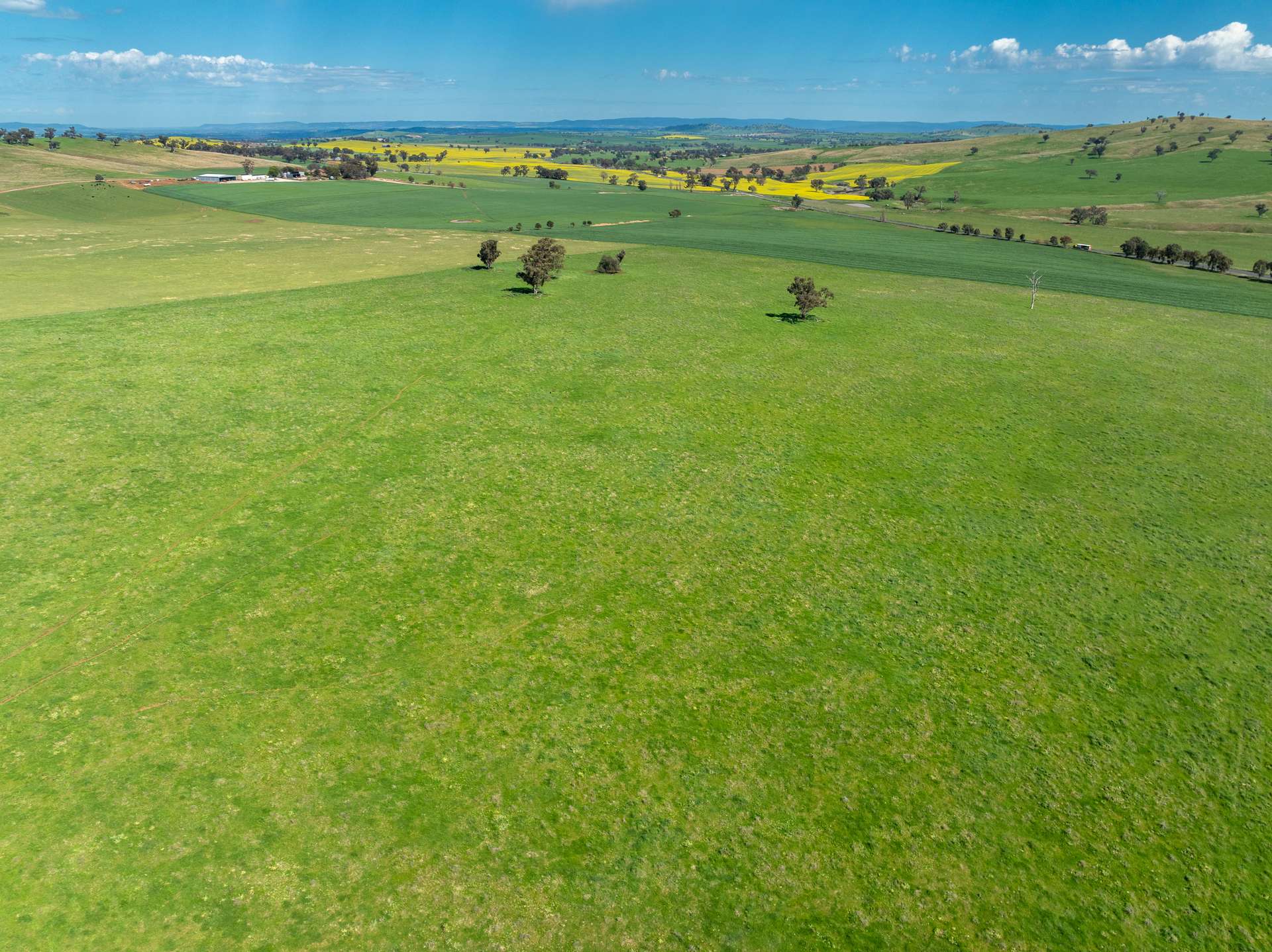'Burley' 8394 Mid Western Highway, Woodstock Auction by Farmbuy.com - image 17