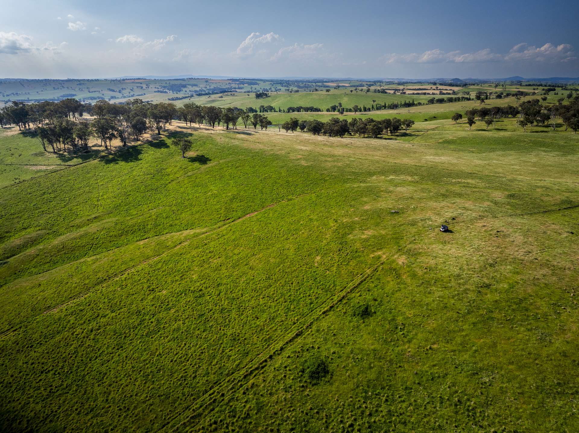 'Burley' 8394 Mid Western Highway, Woodstock Auction by Farmbuy.com - image 26