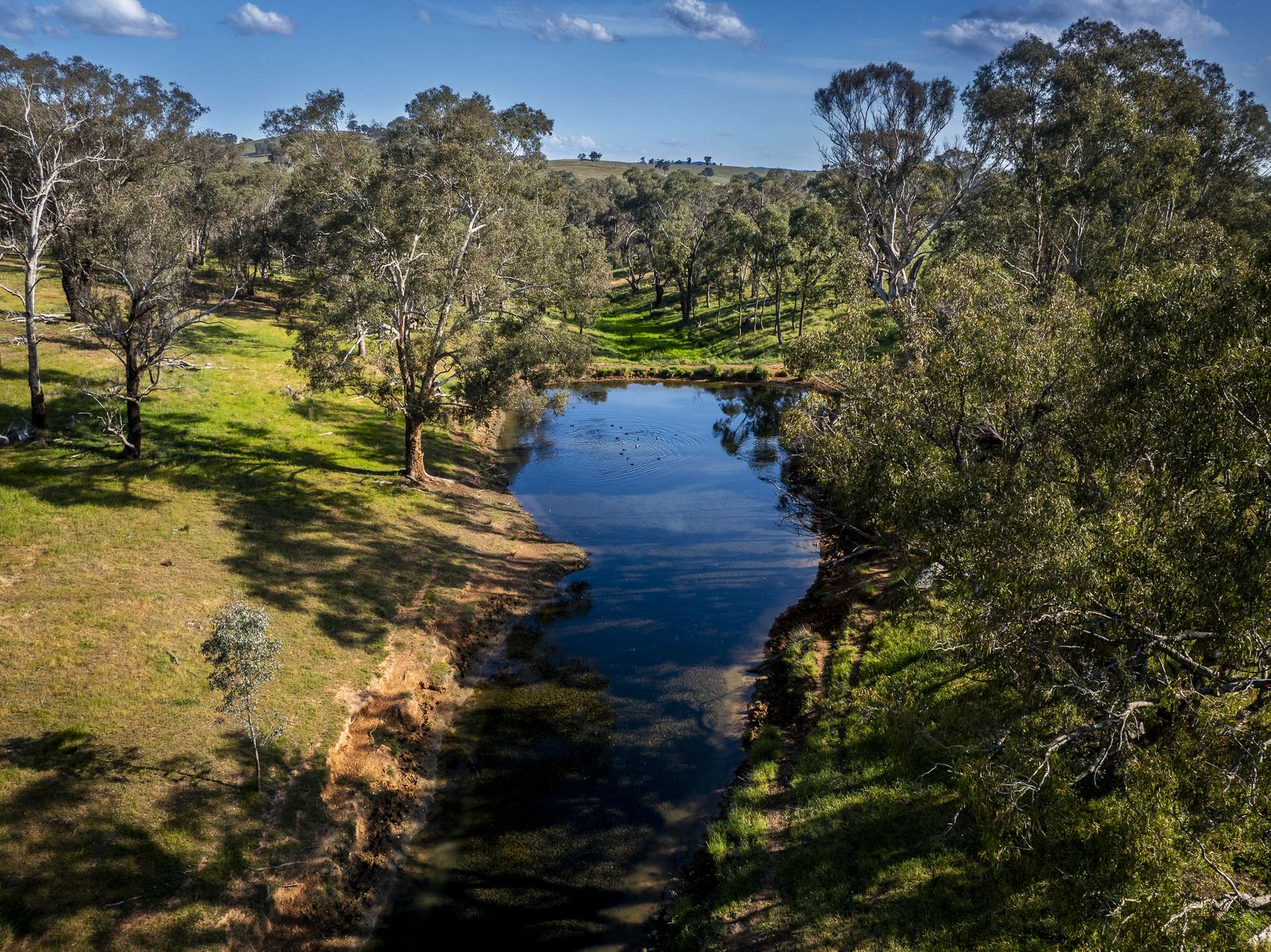 'Burley' 8394 Mid Western Highway, Woodstock Auction by Farmbuy.com - image 28