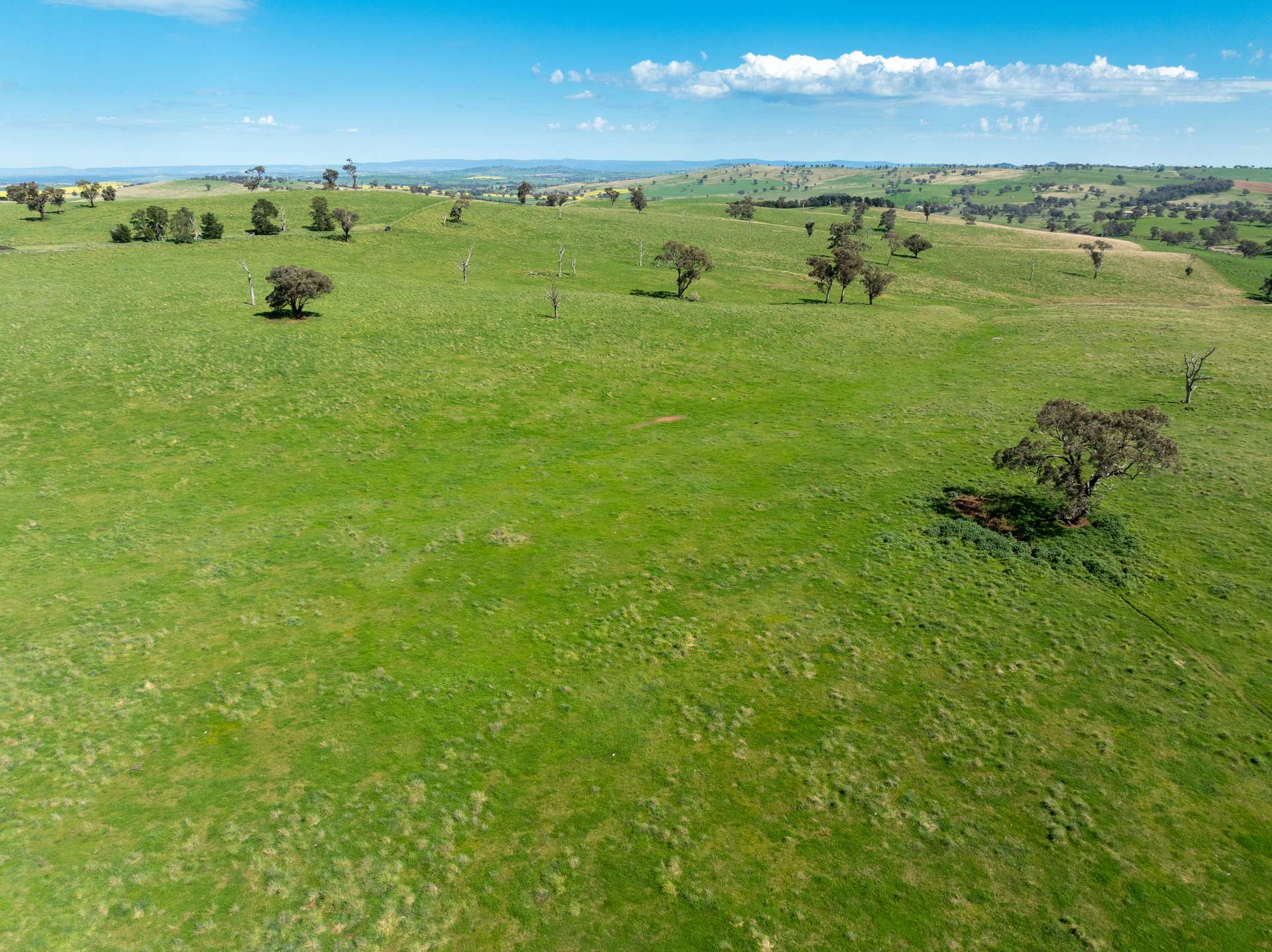 'Burley' 8394 Mid Western Highway, Woodstock Auction by Farmbuy.com - image 6