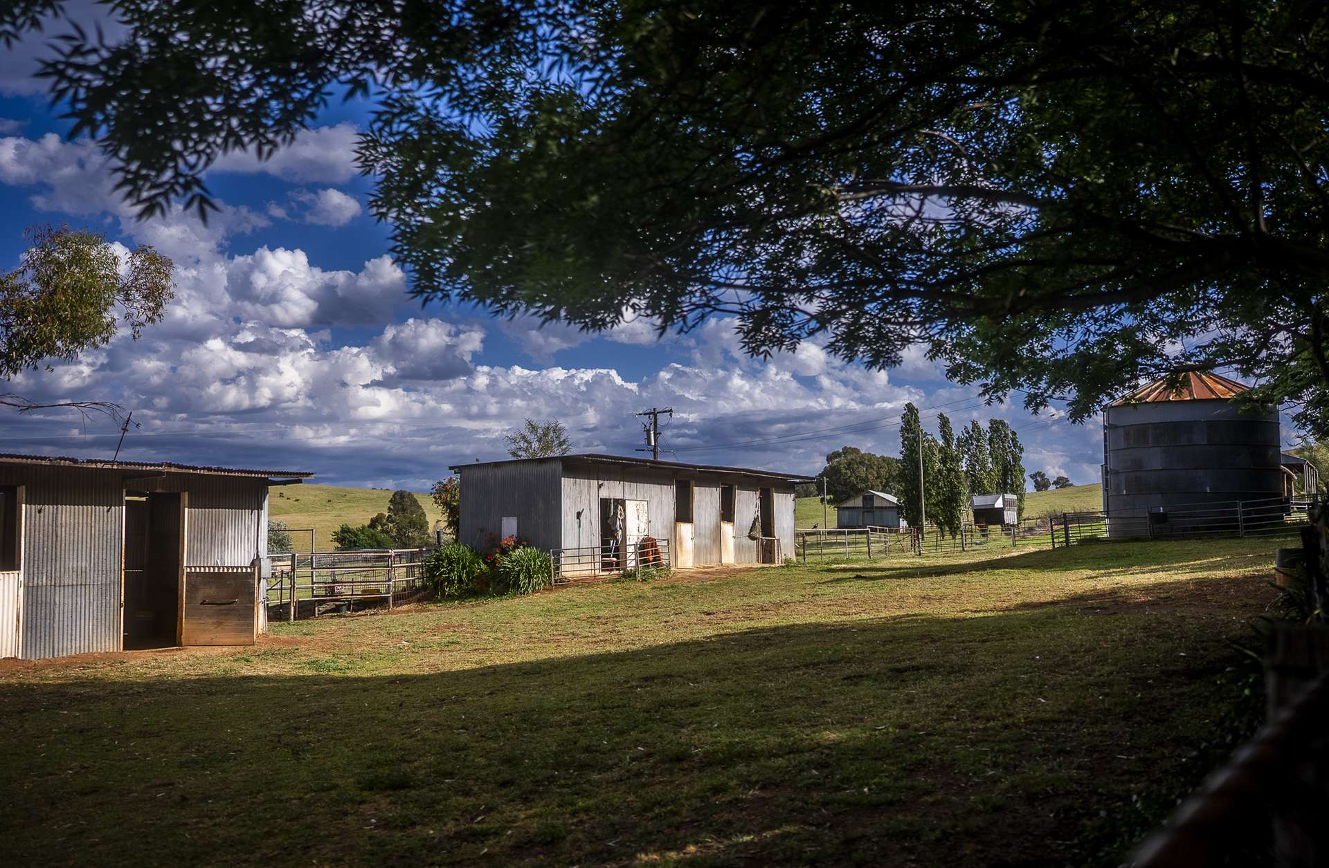 'Burley' 8394 Mid Western Highway, Woodstock Auction by Farmbuy.com - image 25