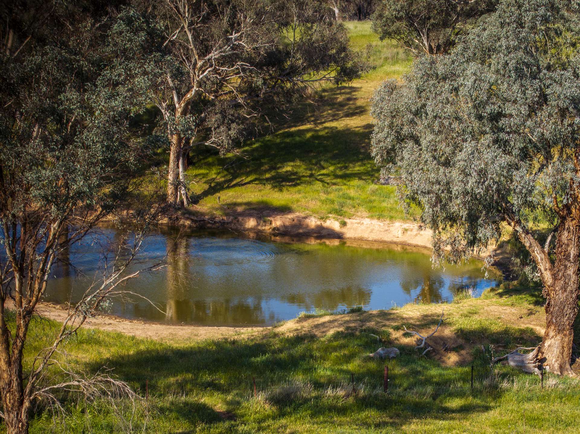 'Burley' 8394 Mid Western Highway, Woodstock Auction by Farmbuy.com - image 27