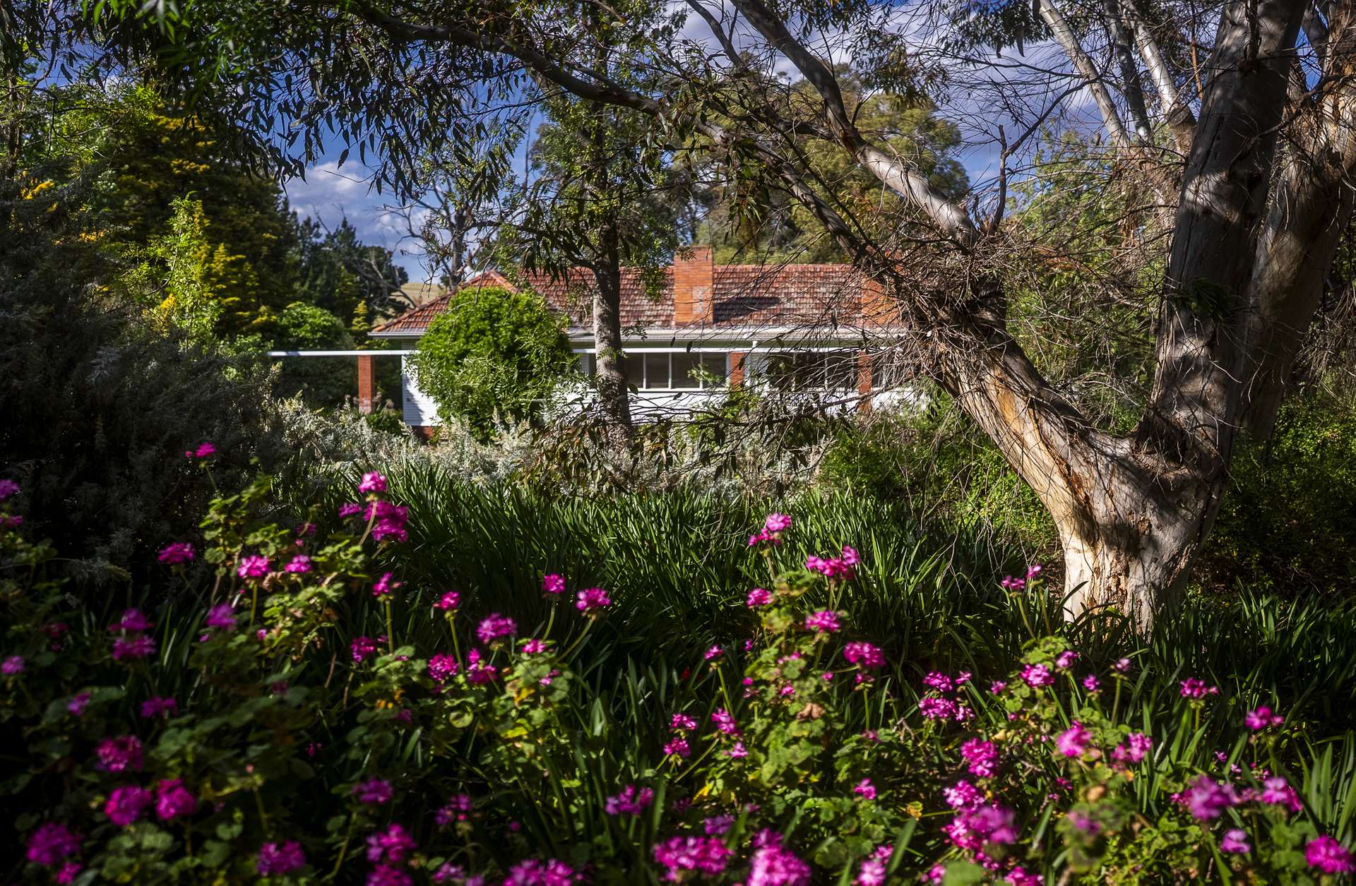 'Burley' 8394 Mid Western Highway, Woodstock Auction by Farmbuy.com - image 15