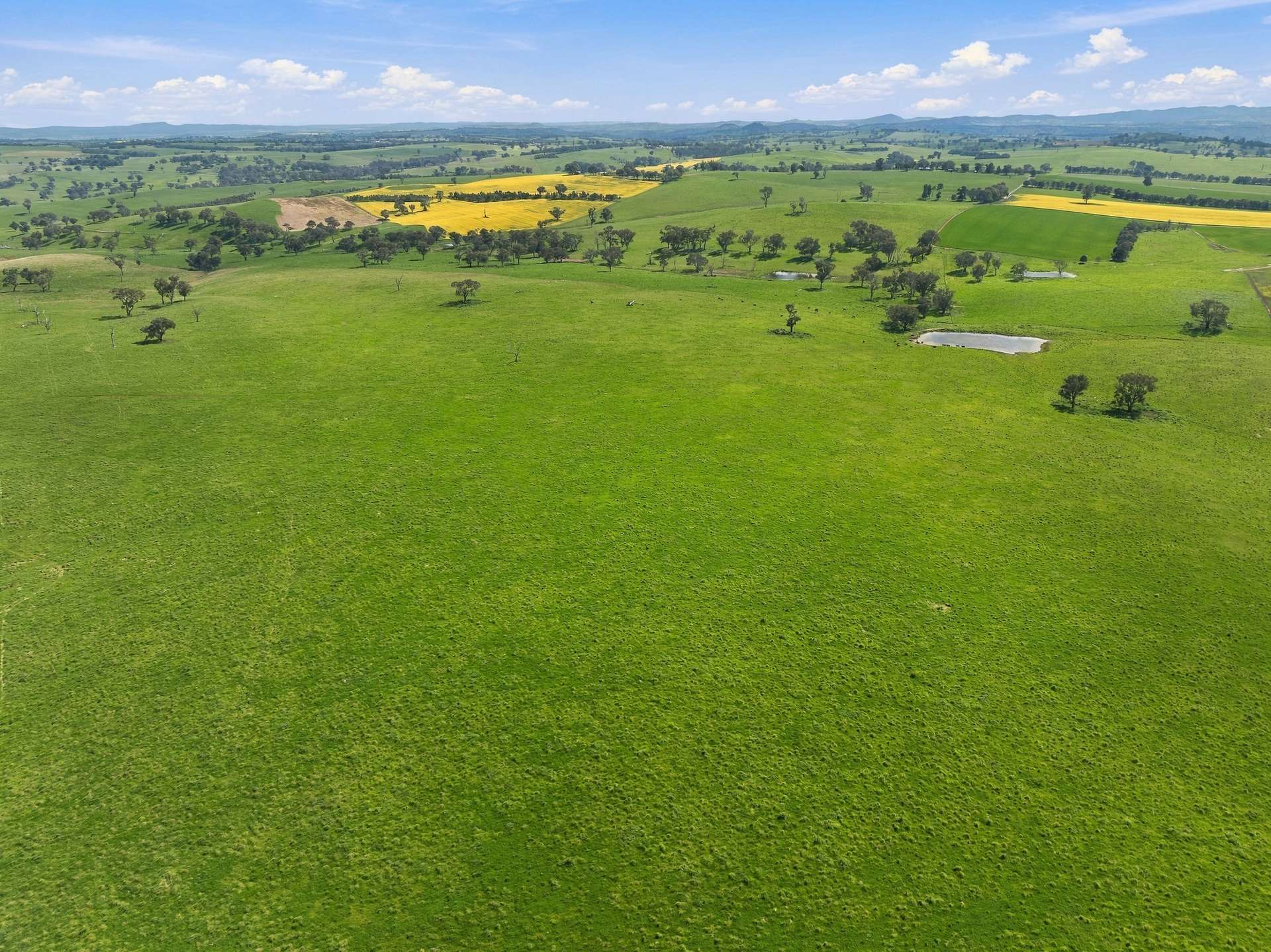 'Burley' 8394 Mid Western Highway, Woodstock Auction by Farmbuy.com - image 29