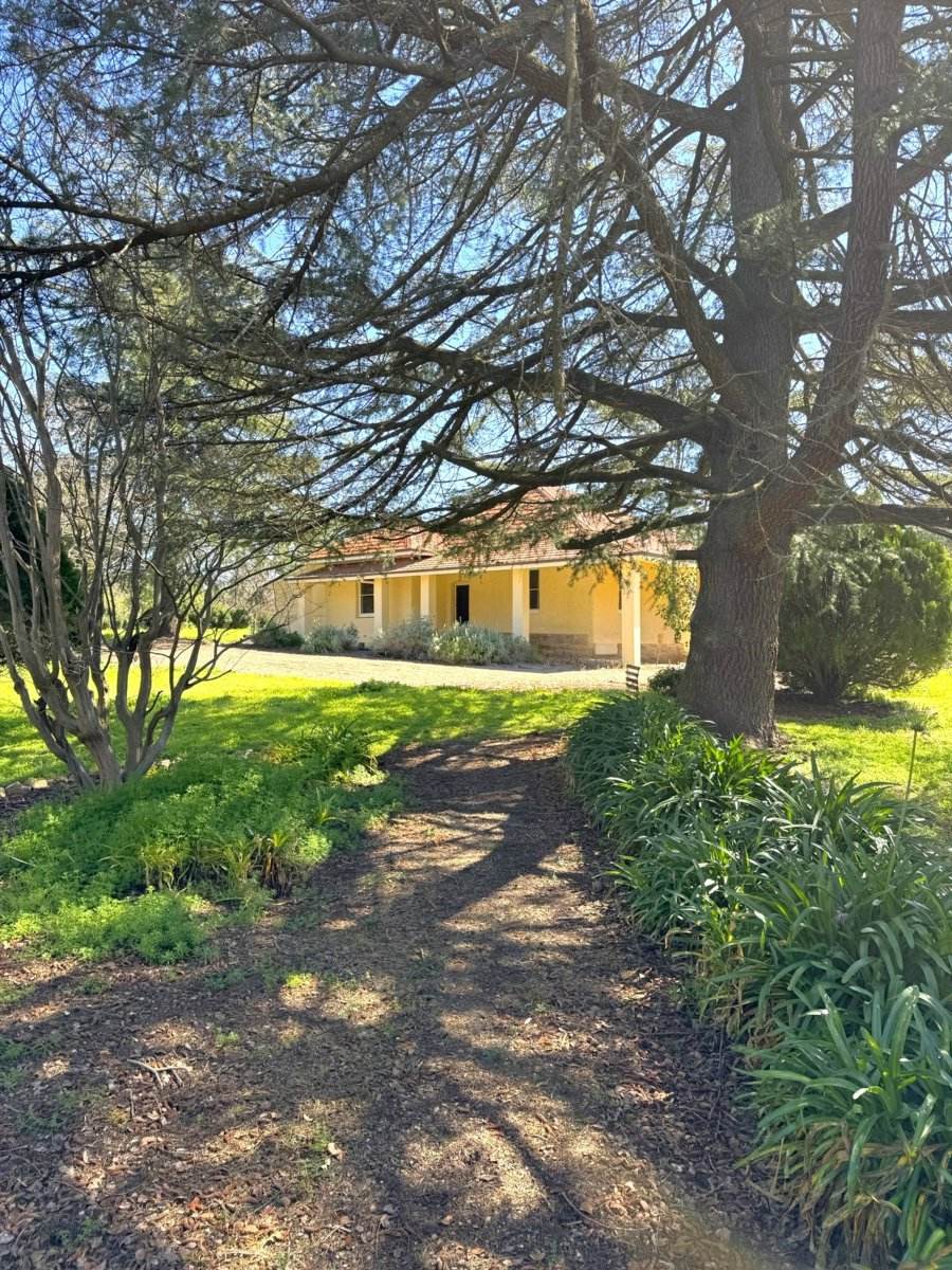 30 Tanah Merah Rd, Wombat, Via, Young For Sale by Farmbuy.com - image 21