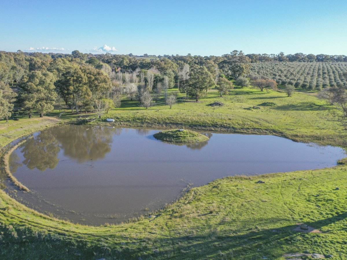 30 Tanah Merah Rd, Wombat, Via, Young For Sale by Farmbuy.com - image 23
