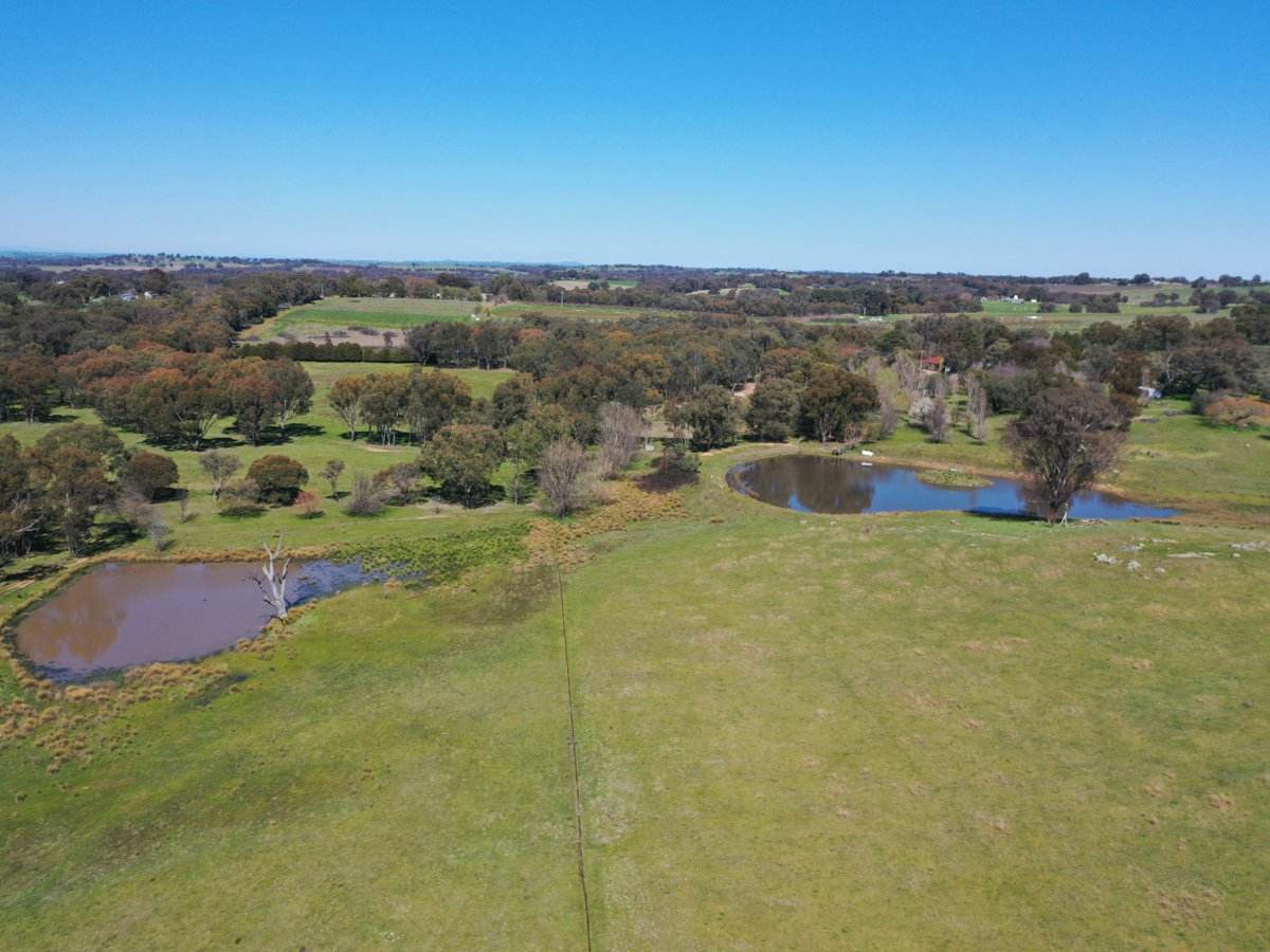 30 Tanah Merah Rd, Wombat, Via, Young For Sale by Farmbuy.com - image 25