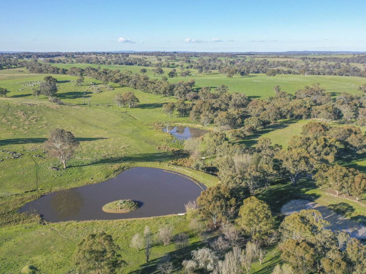 30 Tanah Merah Rd, Wombat, Via, Young For Sale by Farmbuy.com - image 22