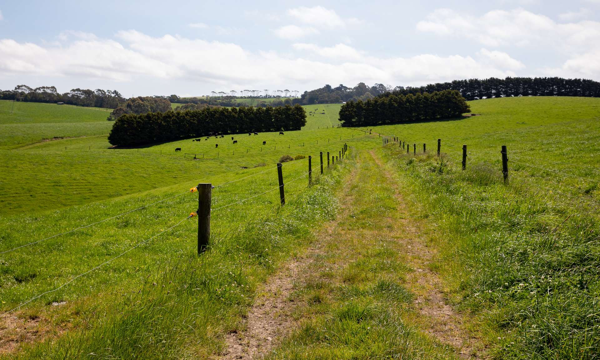 715 Falls Road, Fish Creek For Sale by Farmbuy.com - image 27