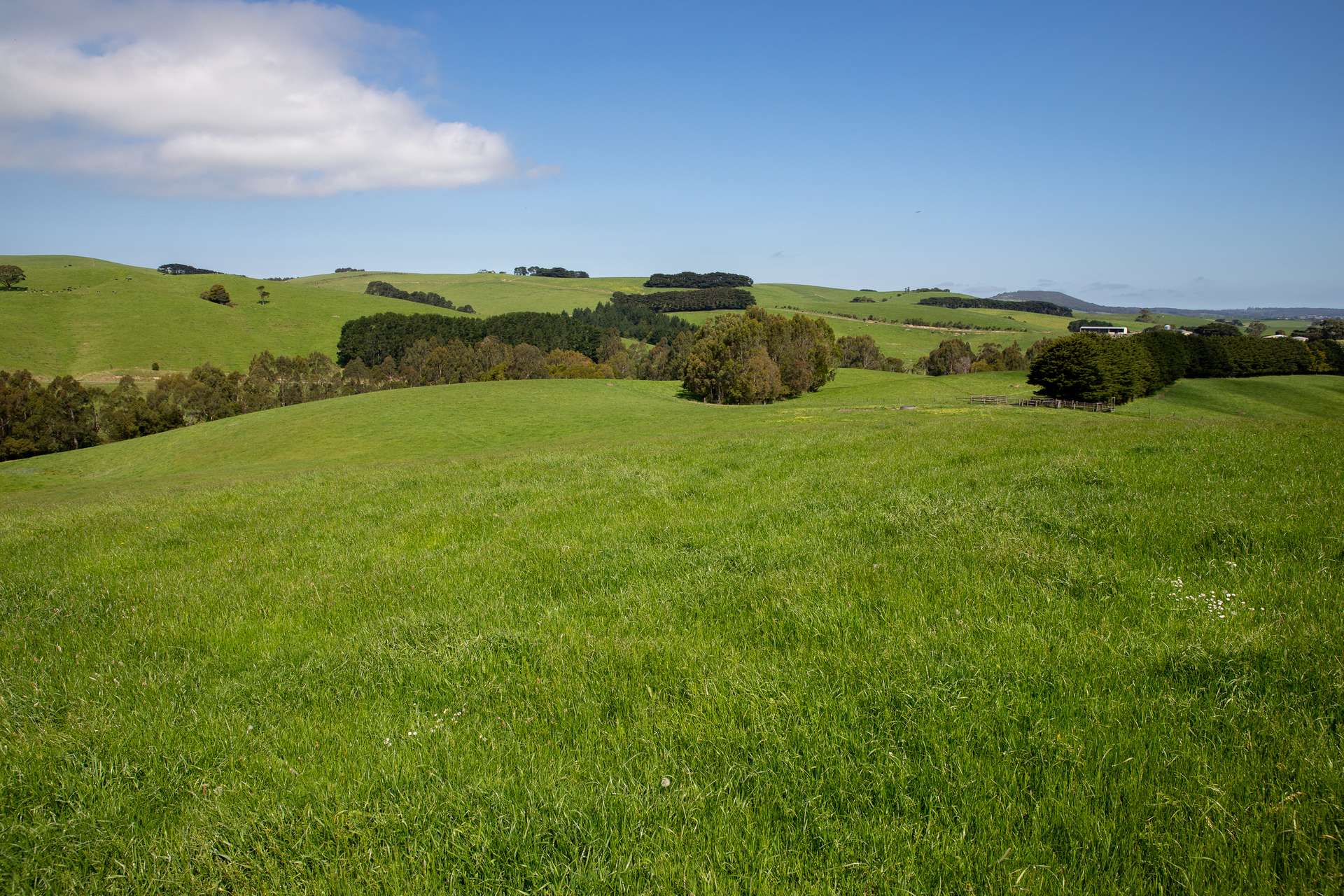 715 Falls Road, Fish Creek For Sale by Farmbuy.com - image 31