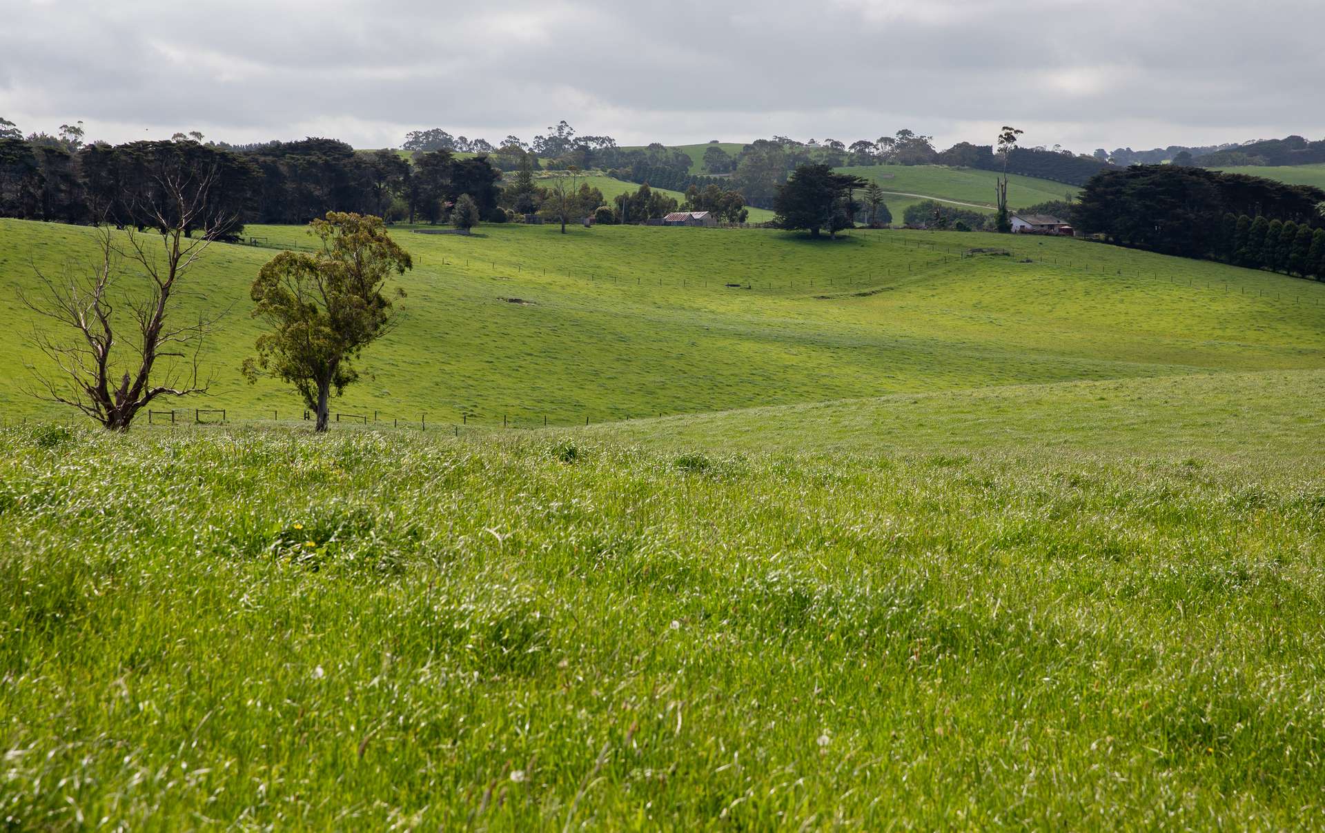 715 Falls Road, Fish Creek For Sale by Farmbuy.com - image 29