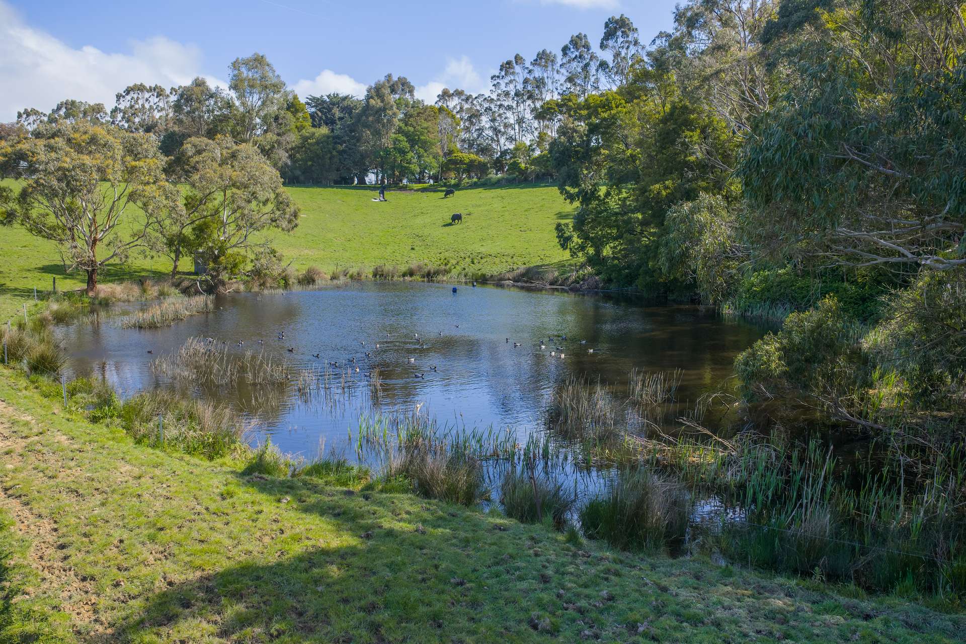 715 Falls Road, Fish Creek For Sale by Farmbuy.com - image 20