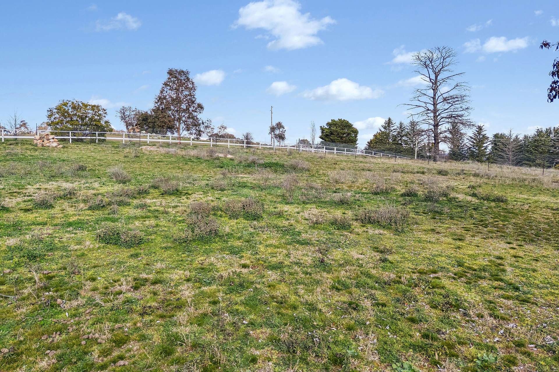 18 Tongbong Street, Rylstone Auction by Farmbuy.com - image 11