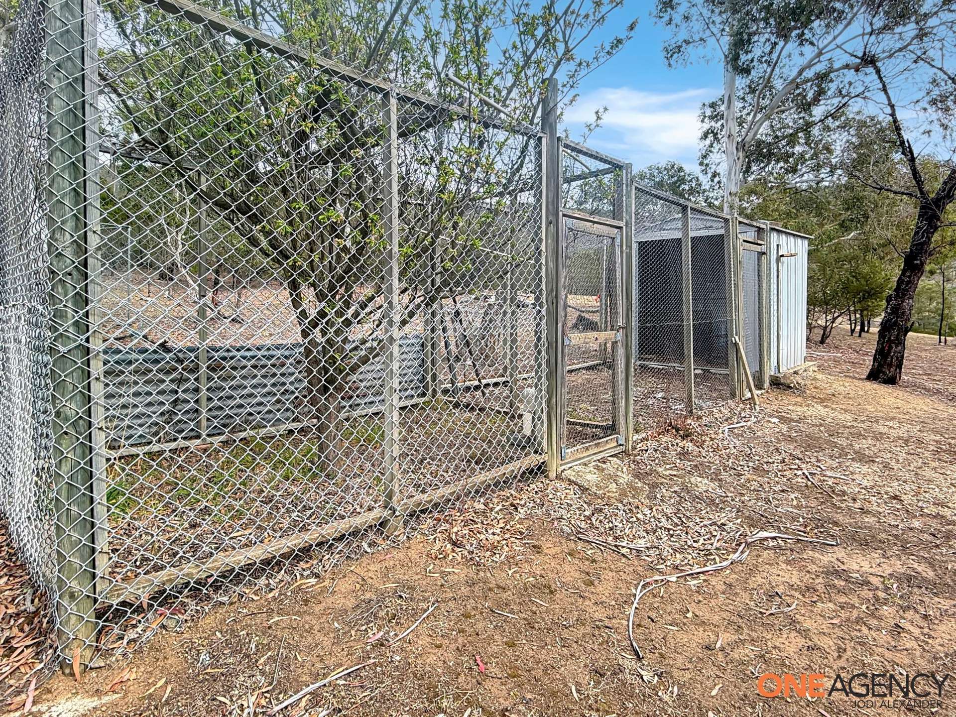 105 Bunyanvale Road, Bunyan For Sale by Farmbuy.com - image 28
