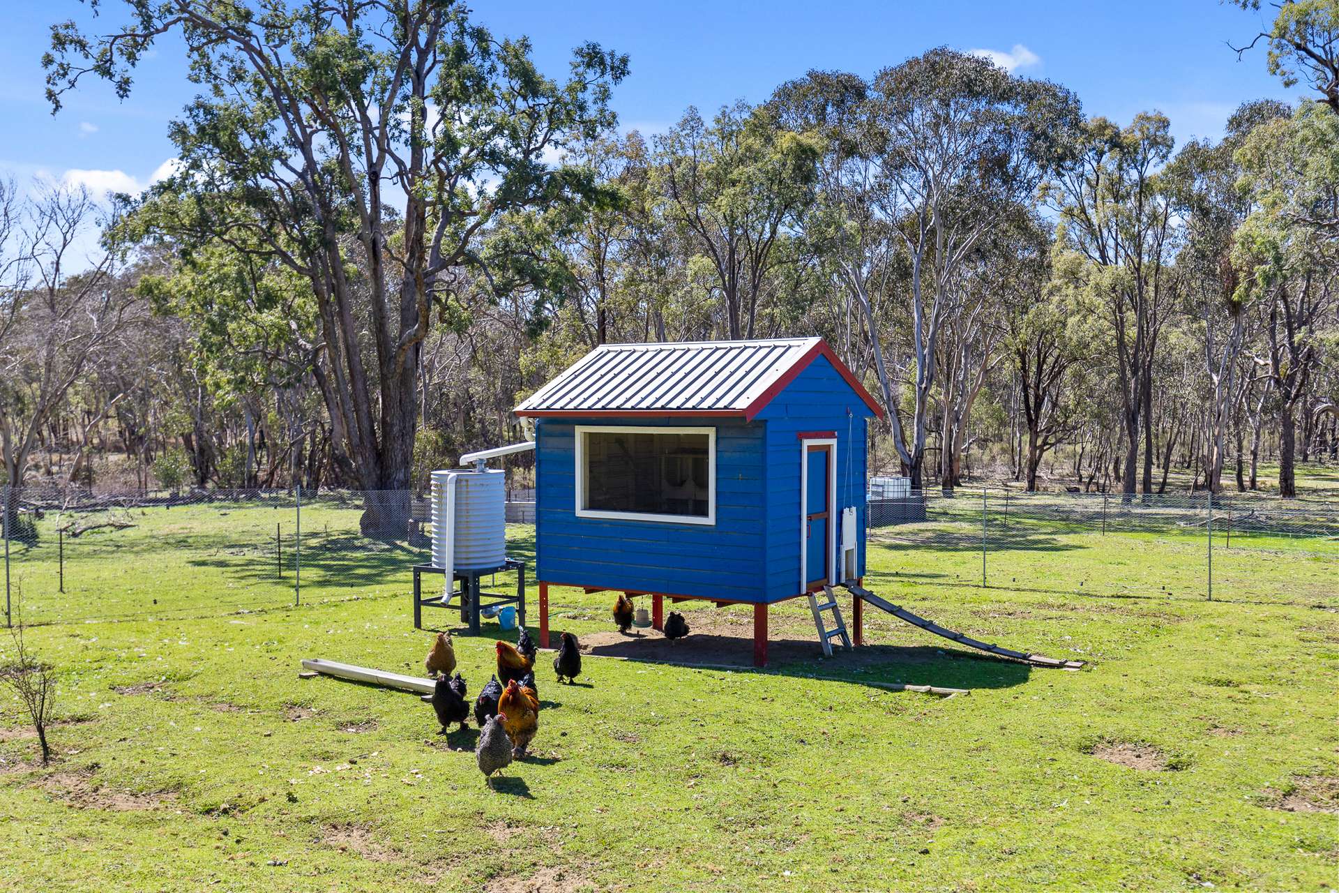 333 Kains Flat Road, Mudgee For Sale by Farmbuy.com - image 17