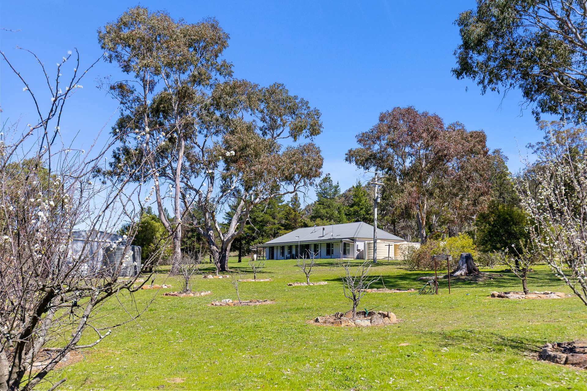 333 Kains Flat Road, Mudgee For Sale by Farmbuy.com - image 22