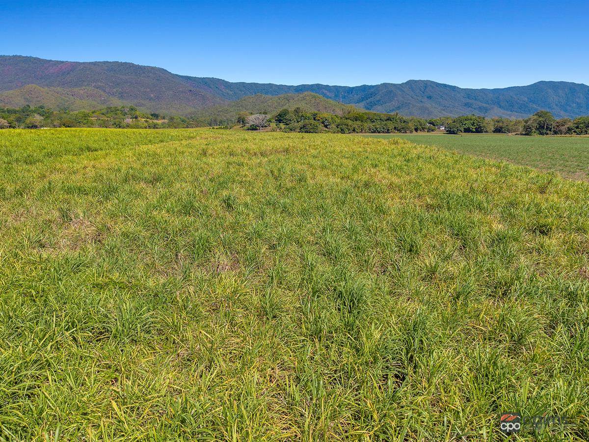 Lot 1 And 2 Roos Road, Little Mulgrave For Sale by Farmbuy.com - image 8
