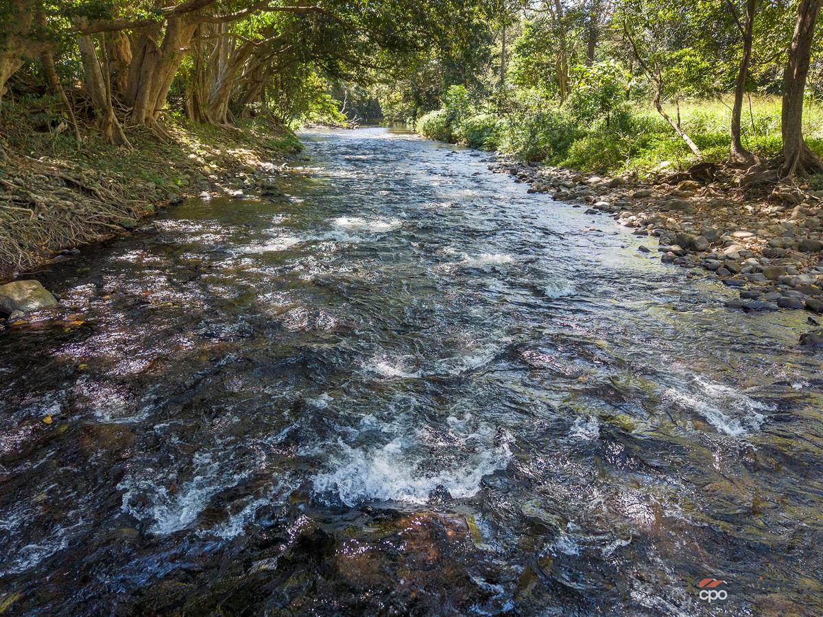 Lot 1 And 2 Roos Road, Little Mulgrave For Sale by Farmbuy.com - image 5