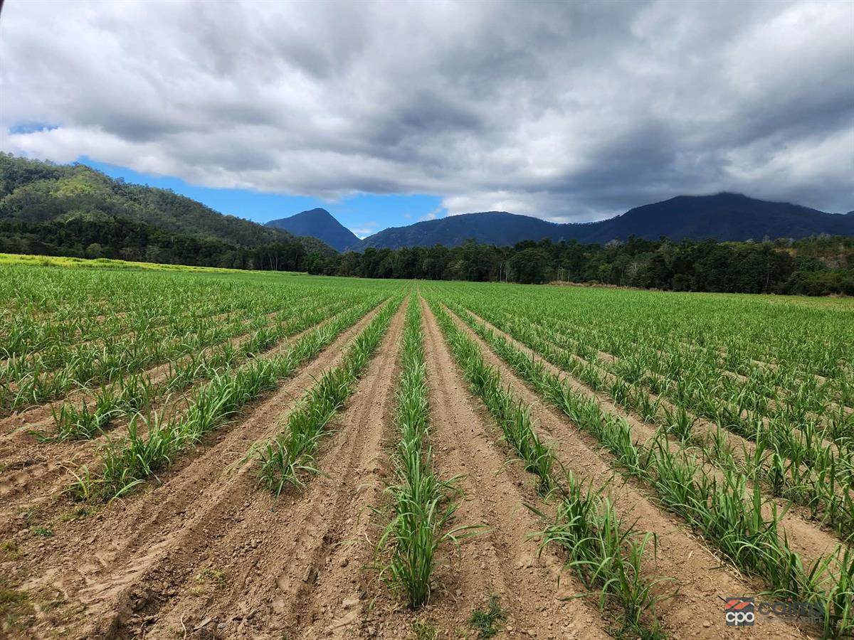 Lot 1 And 2 Roos Road, Little Mulgrave For Sale by Farmbuy.com - image 23